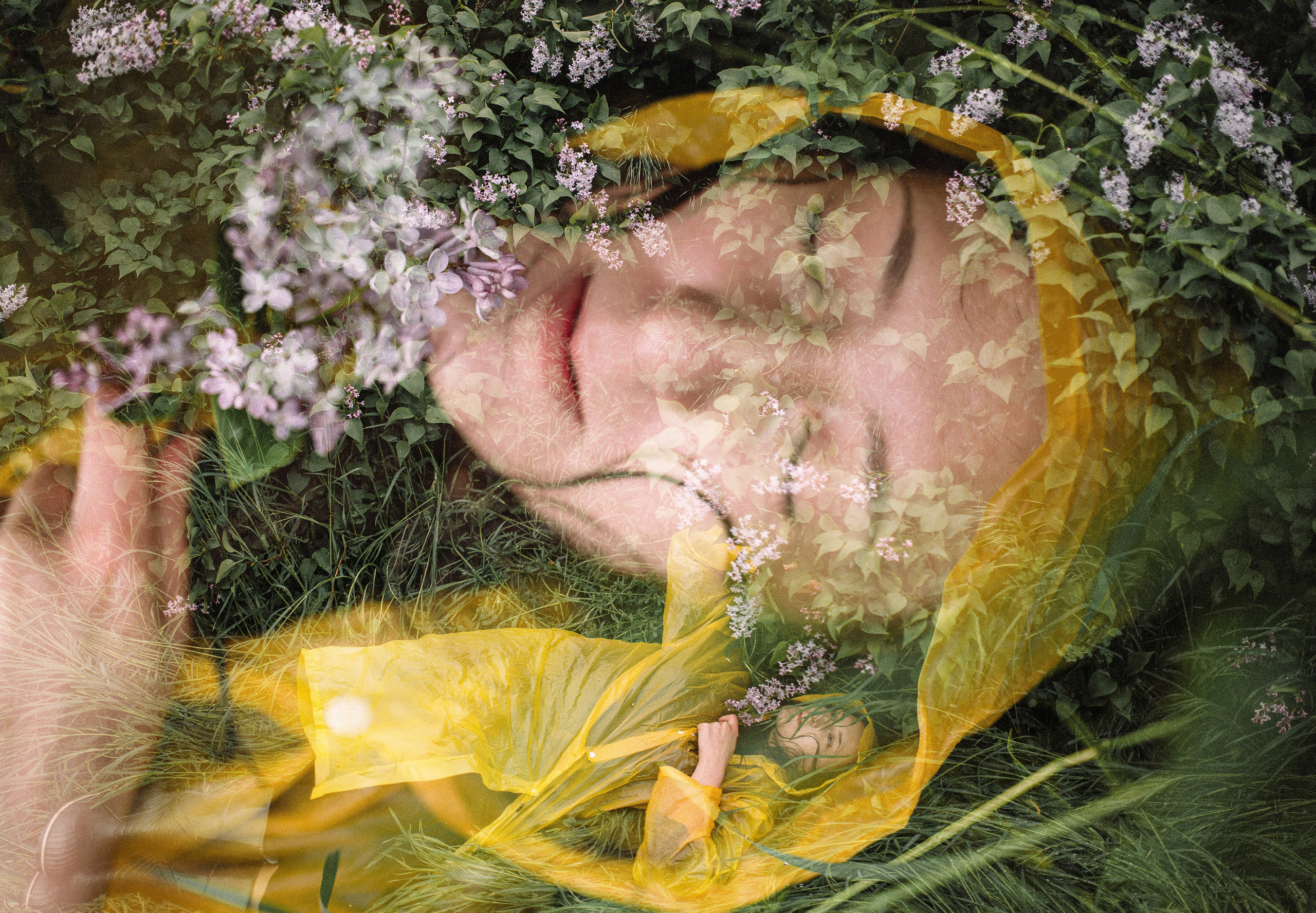 После дождя. Сирень. Фотограф Котова Валентина