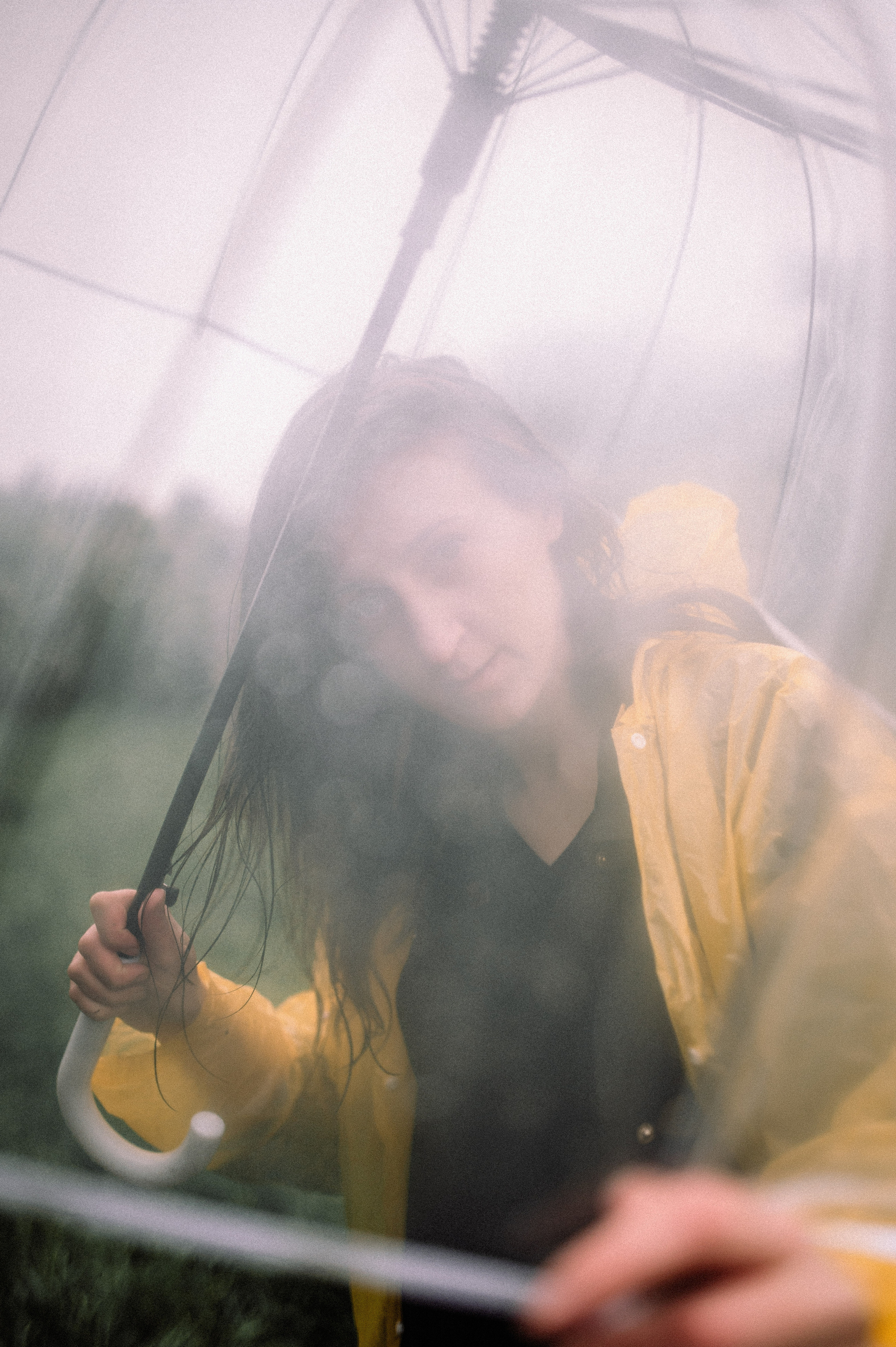 После дождя. Сирень. Фотограф Котова Валентина