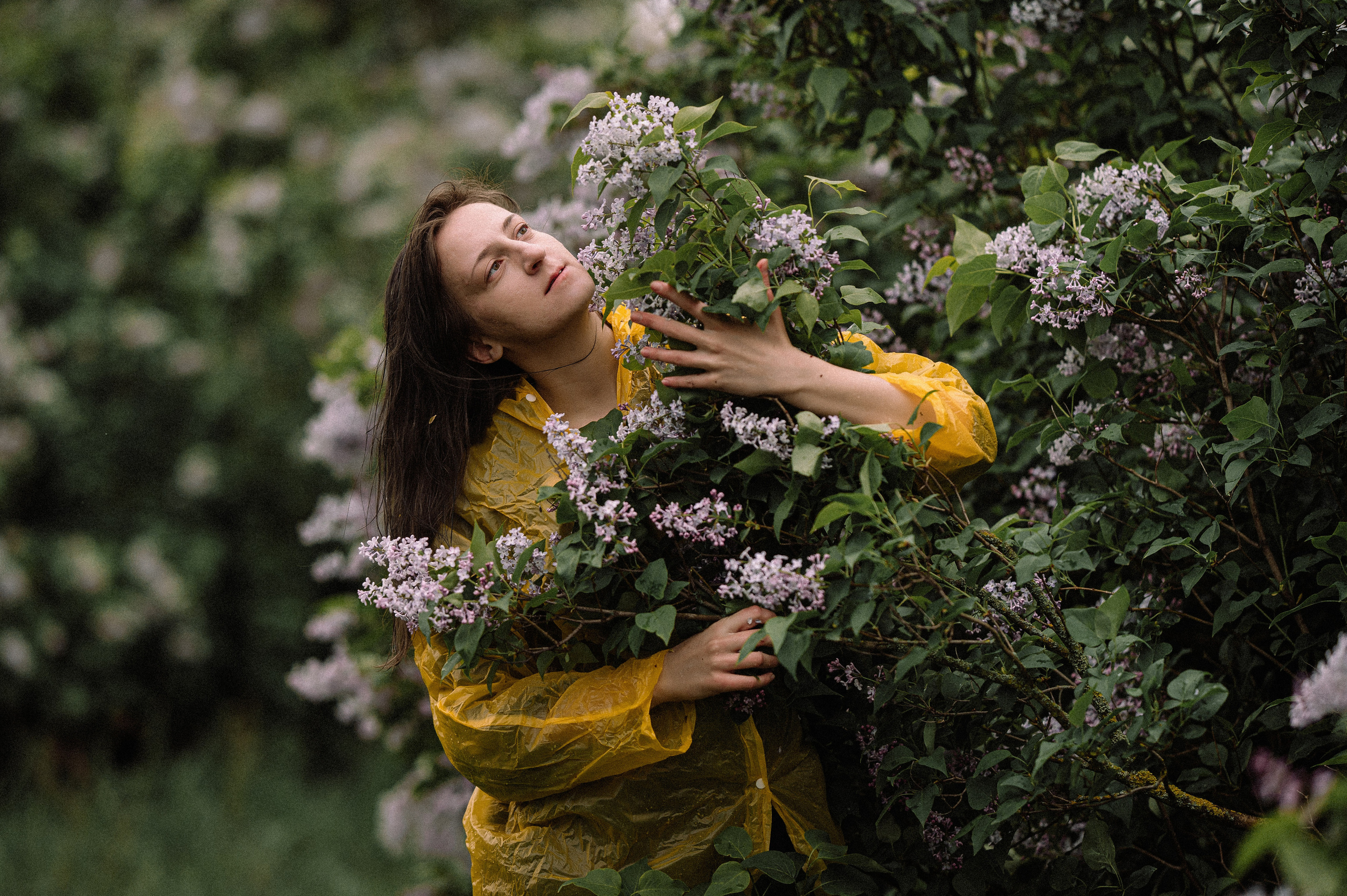 После дождя. Сирень. Фотограф Котова Валентина