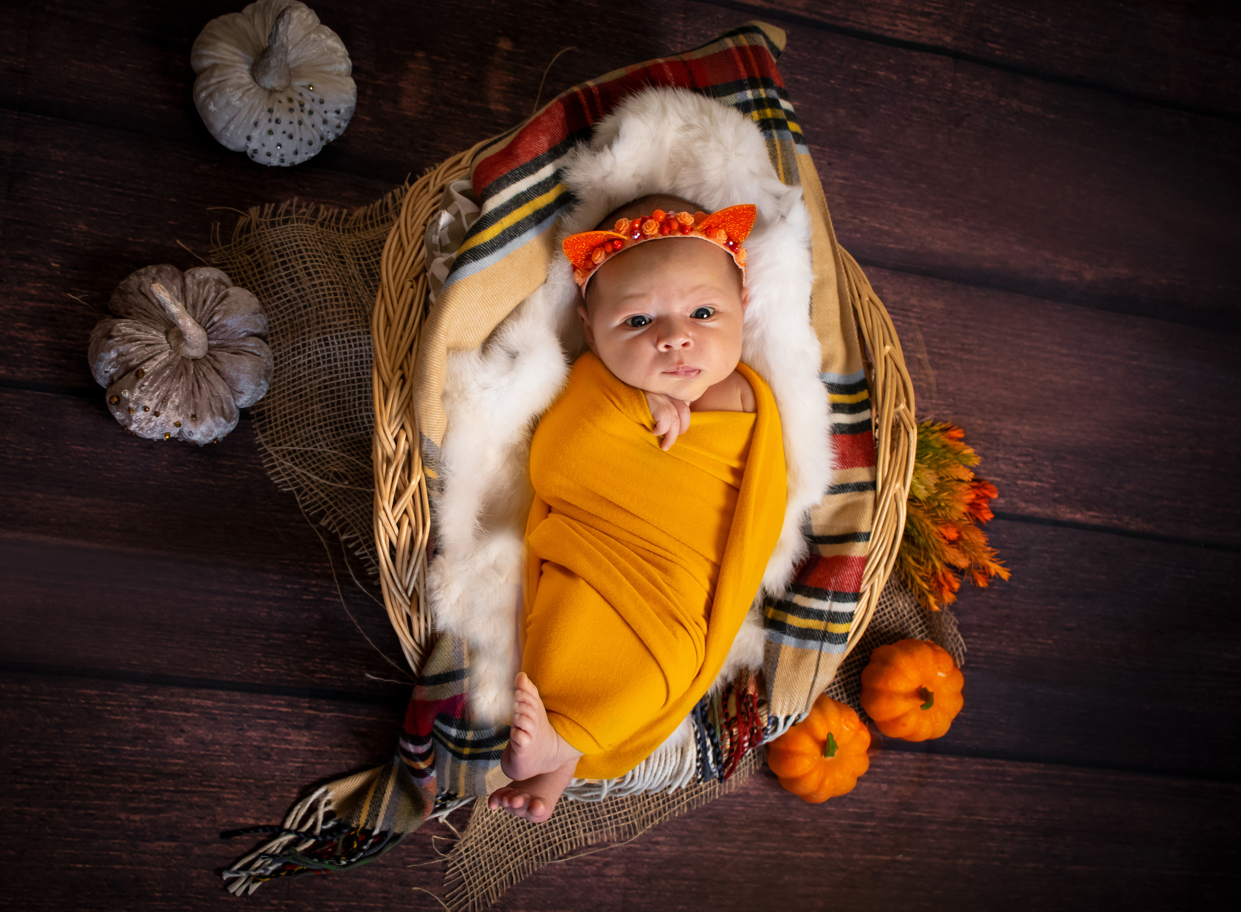 HALLOWEEN. Фотограф новорожденных и семейный фотограф в Краснодаре Елена Воронько