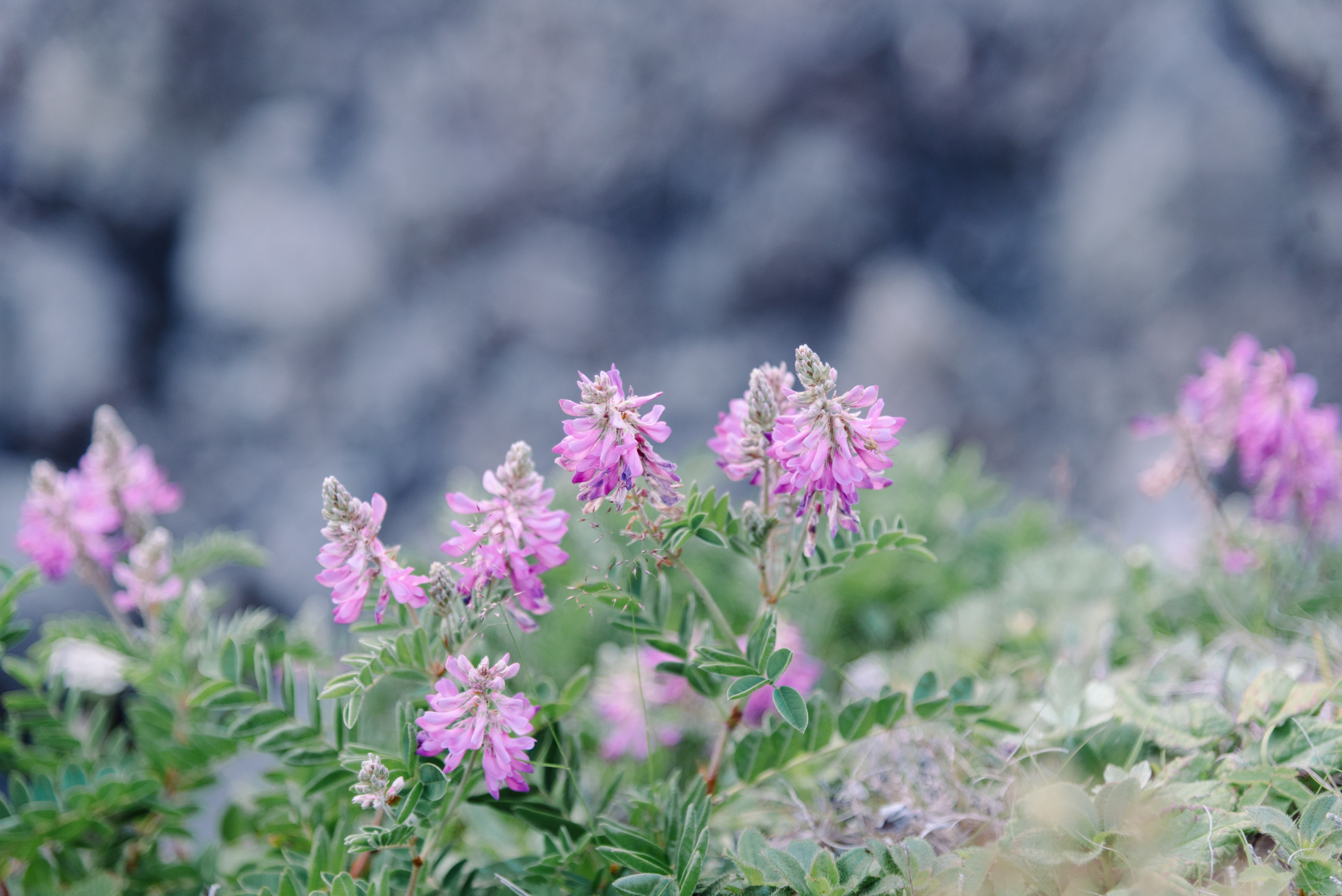 Сахалин и Курильские острова. Фотограф Алиса Калинина