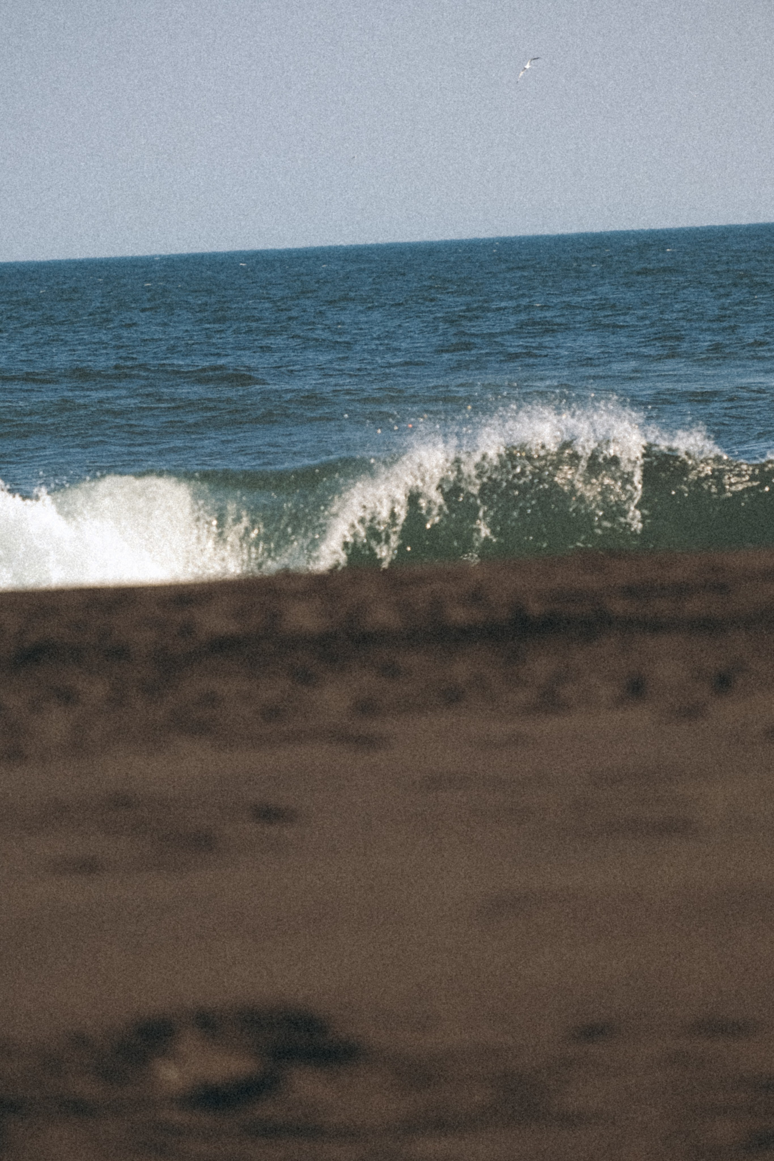 Тихий океан. Профессиональный фотограф, Санкт-Петербург — Виктория Богомолова