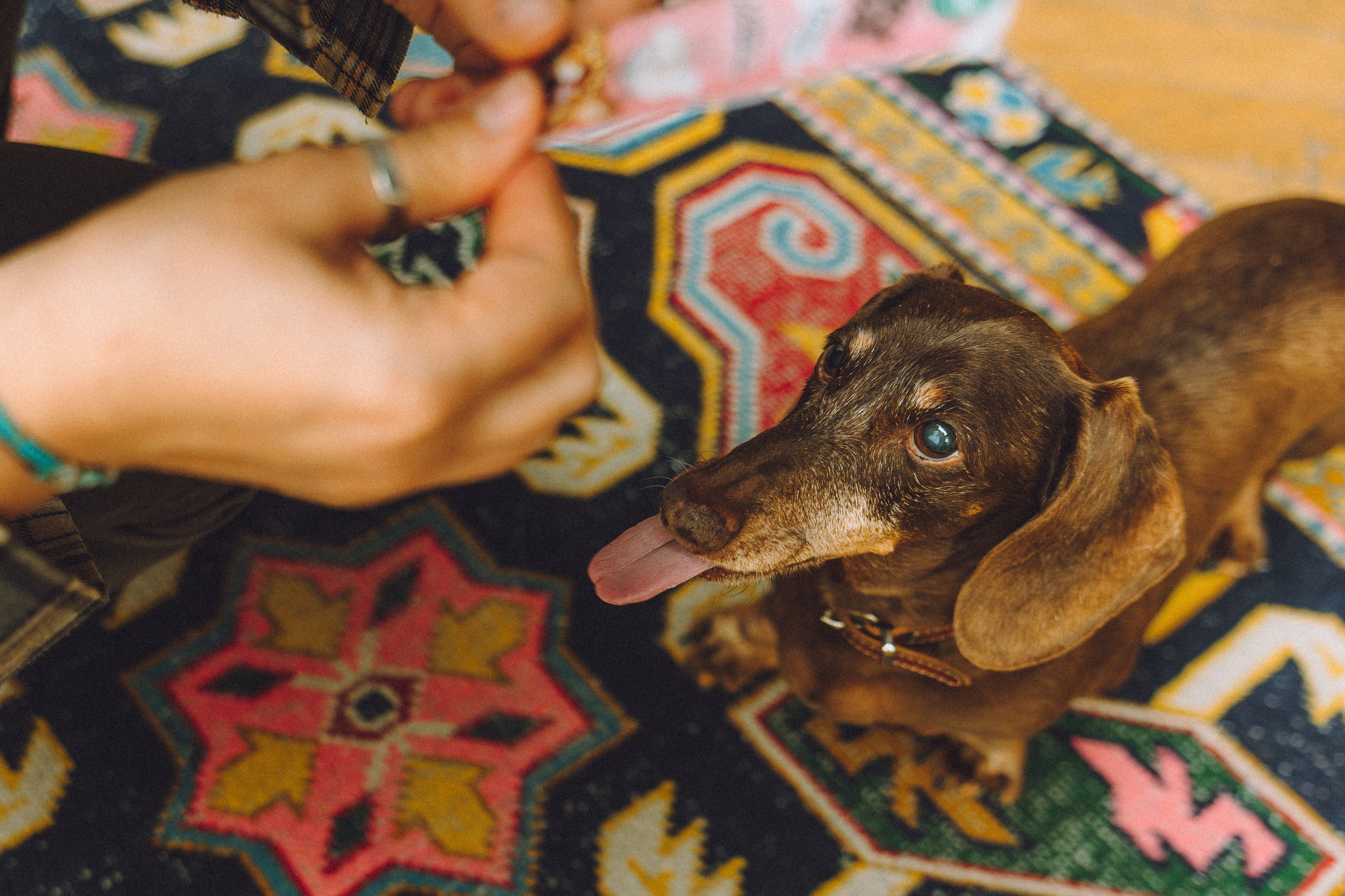 Кокос, Света, Динара и Вилли