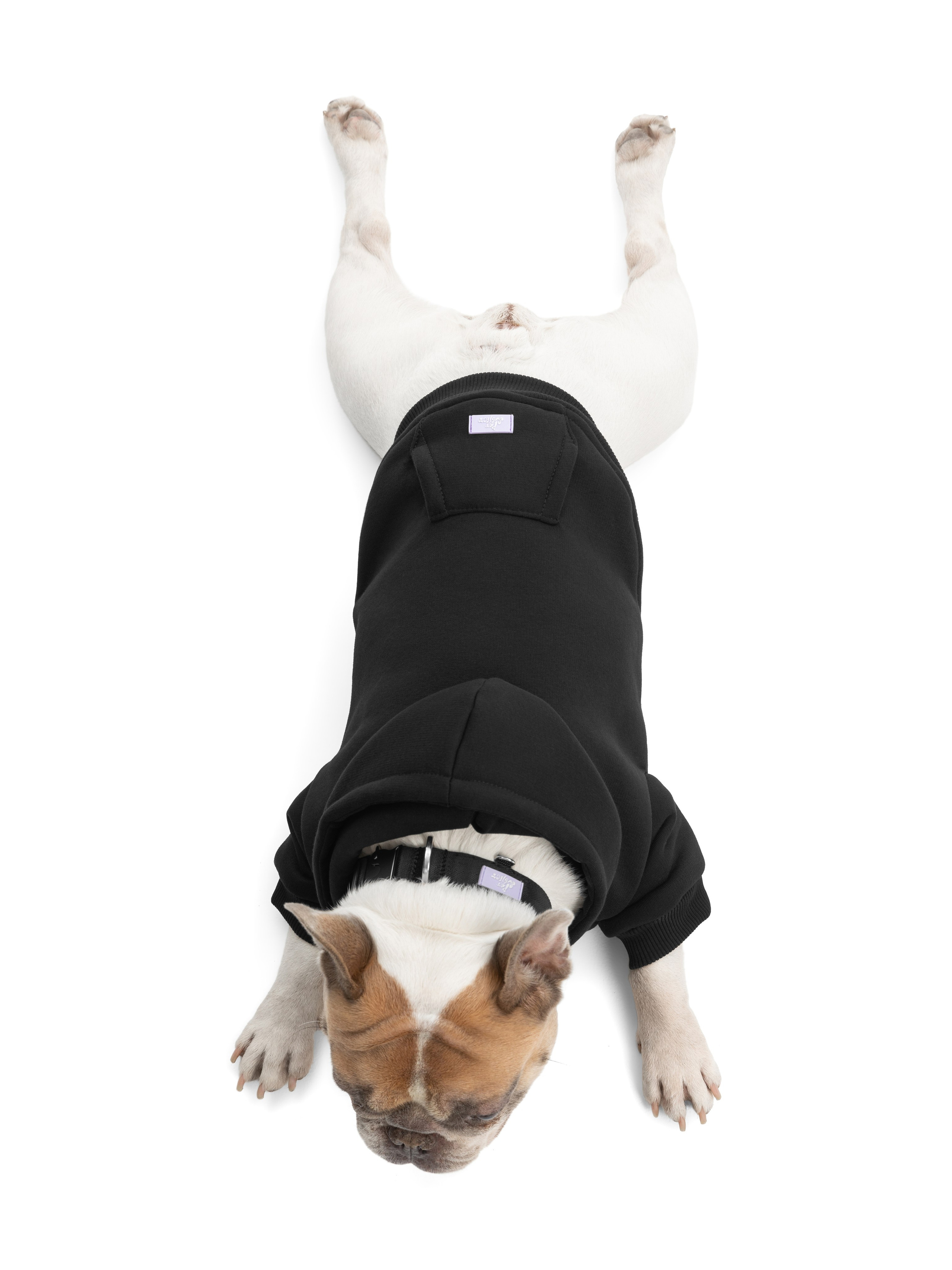 Одежда для собак Pet Subject. Олег Дмитриев