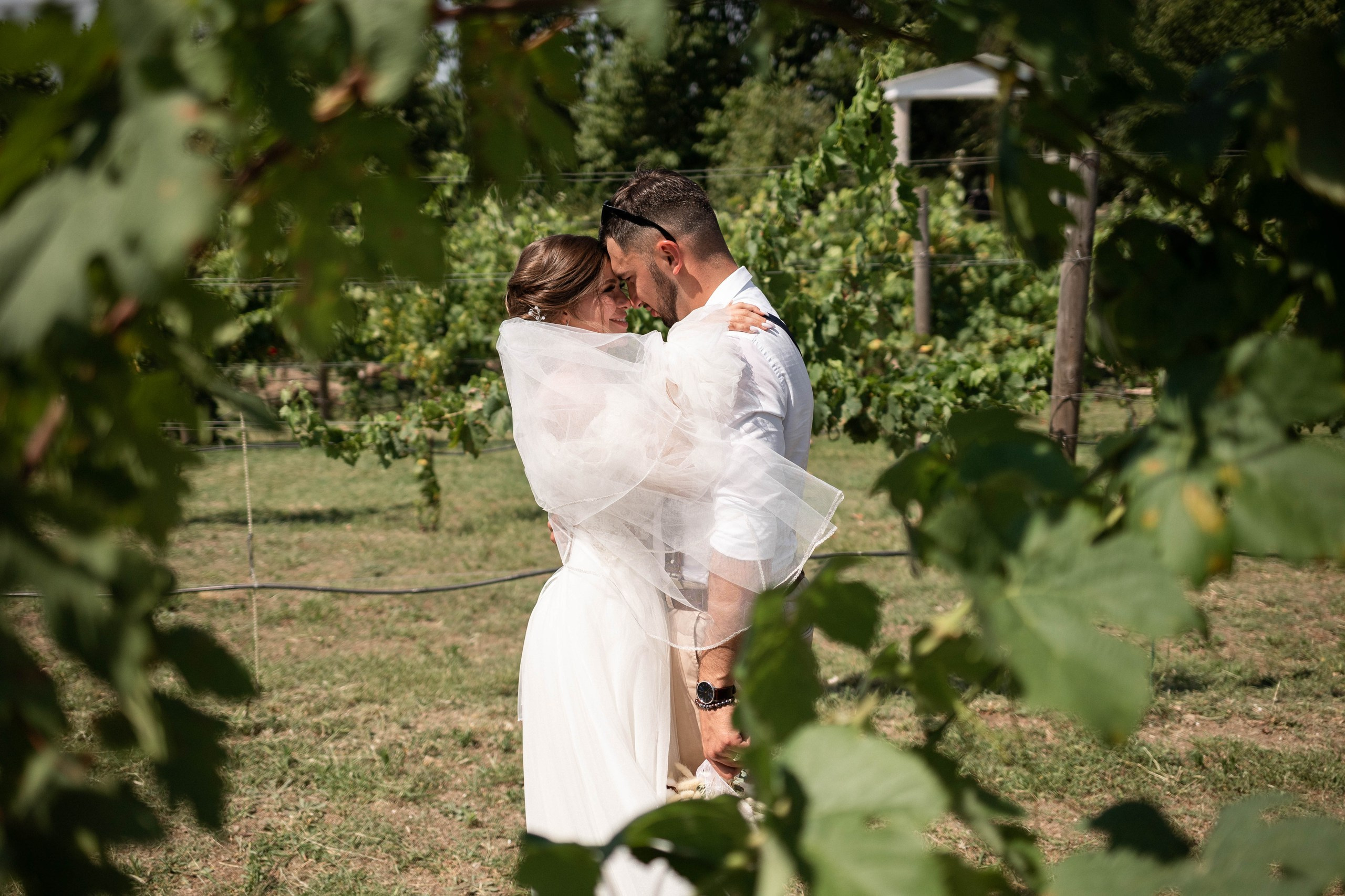 V&D. Семейный фотограф в Севастополе и Симферополе Александра Чистякова