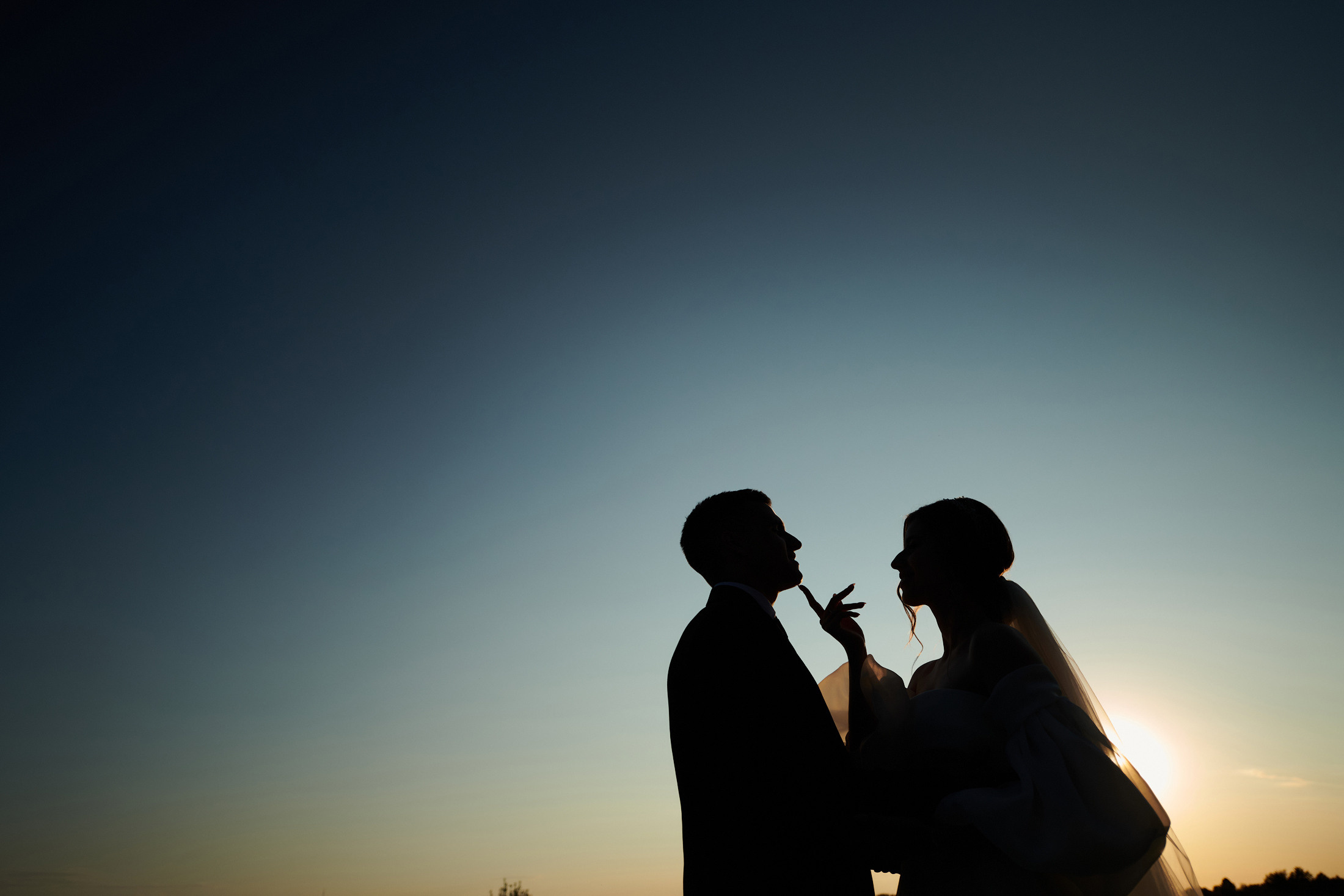 Максим & Алина. Свадебный фотограф в Тамбове Синельников Александр