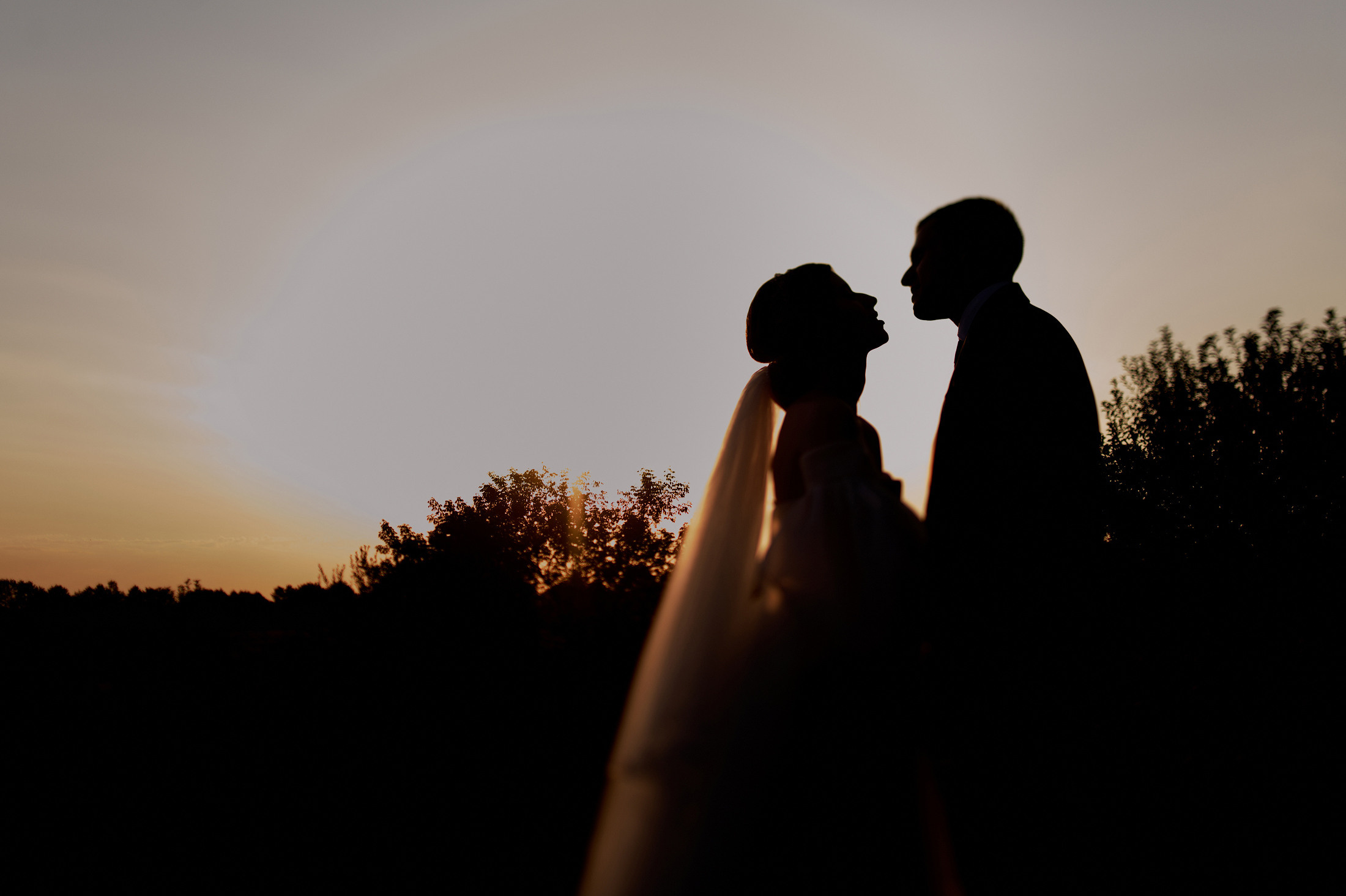 Максим & Алина. Свадебный фотограф в Тамбове Синельников Александр