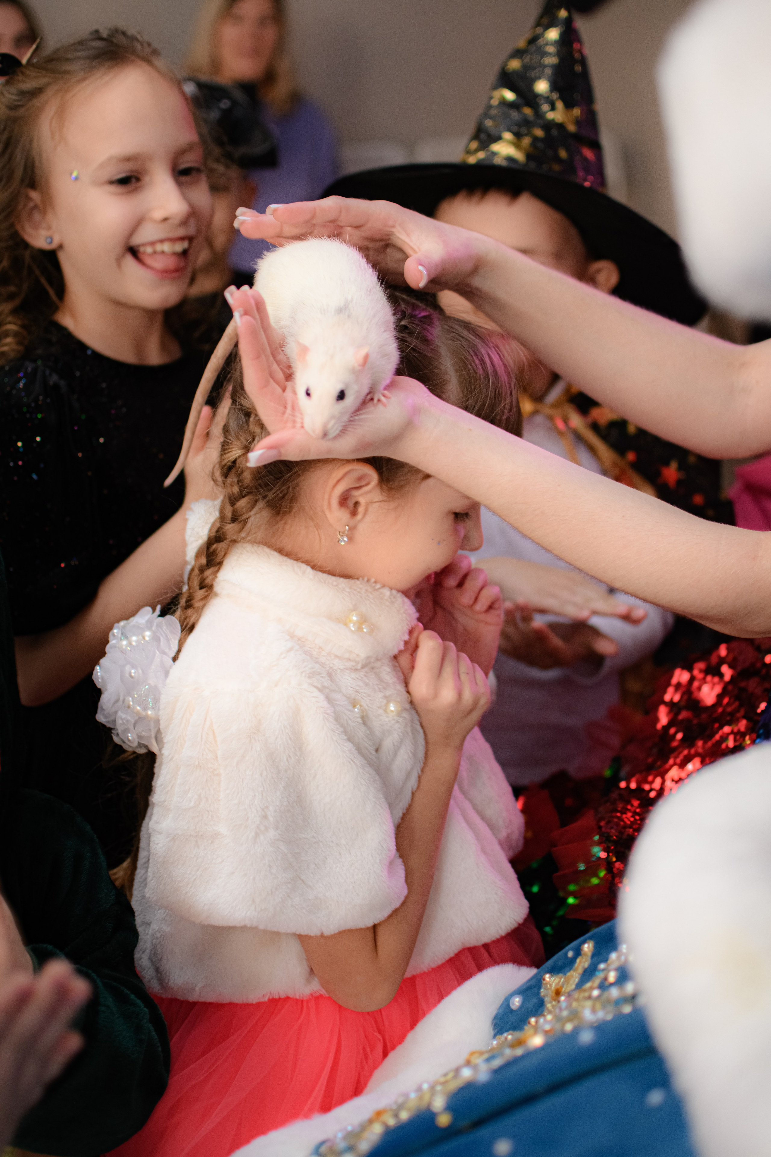 HAPPY NEW YEAR. Photokarish