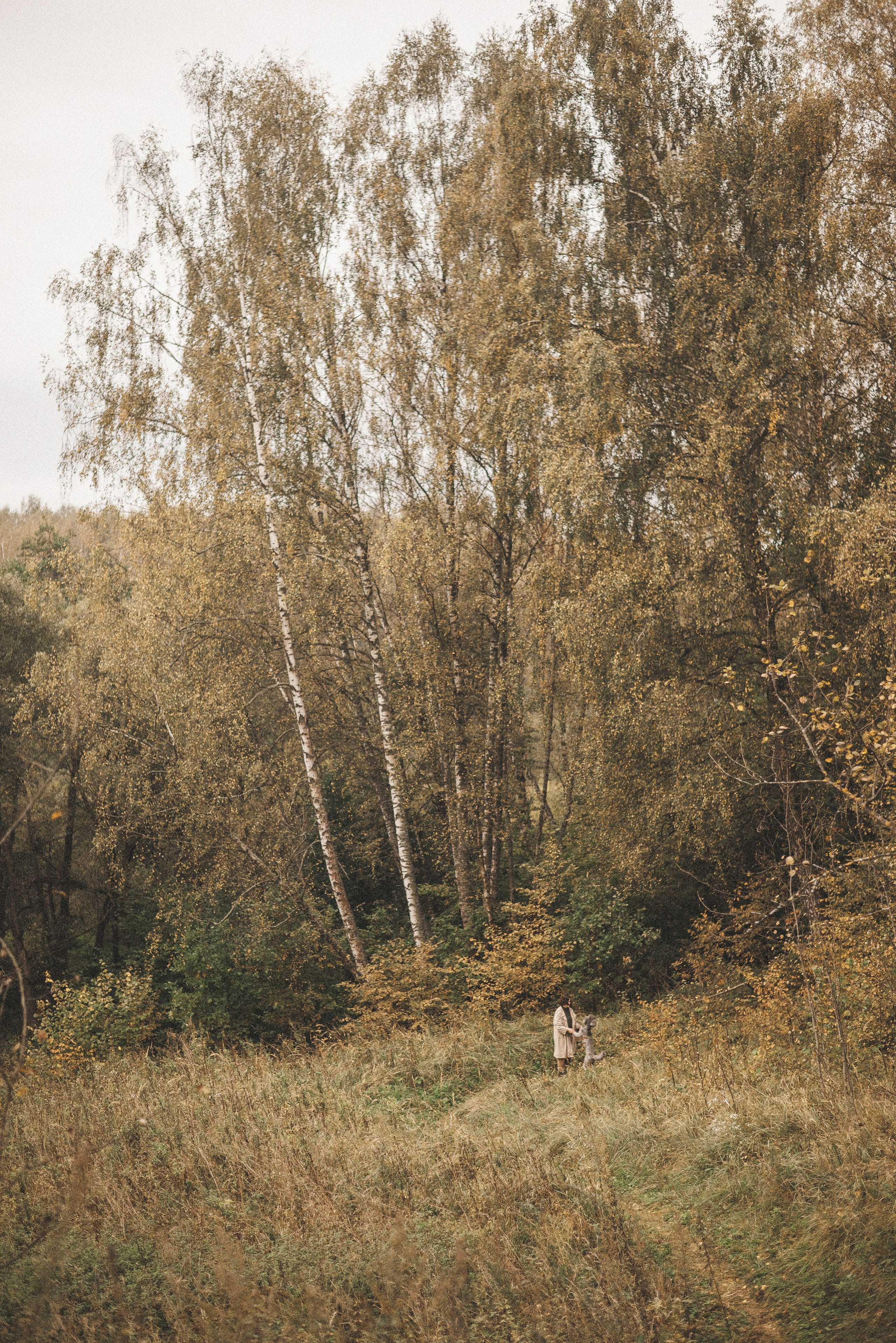 Алёна и Смоки. Фотограф-анималист Богданова Полина
