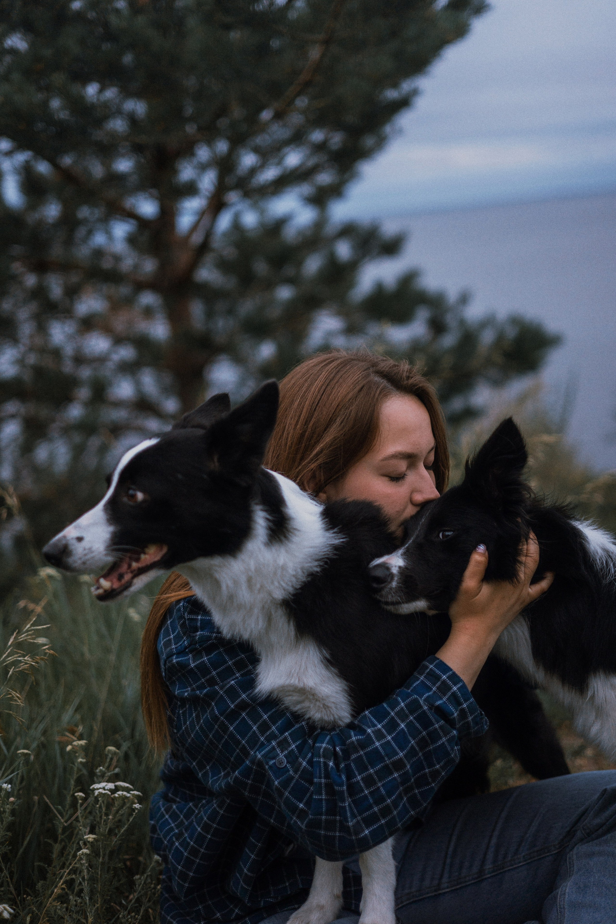 Аделя, Вандер, Шайна и Бая. Фотограф-анималист Богданова Полина