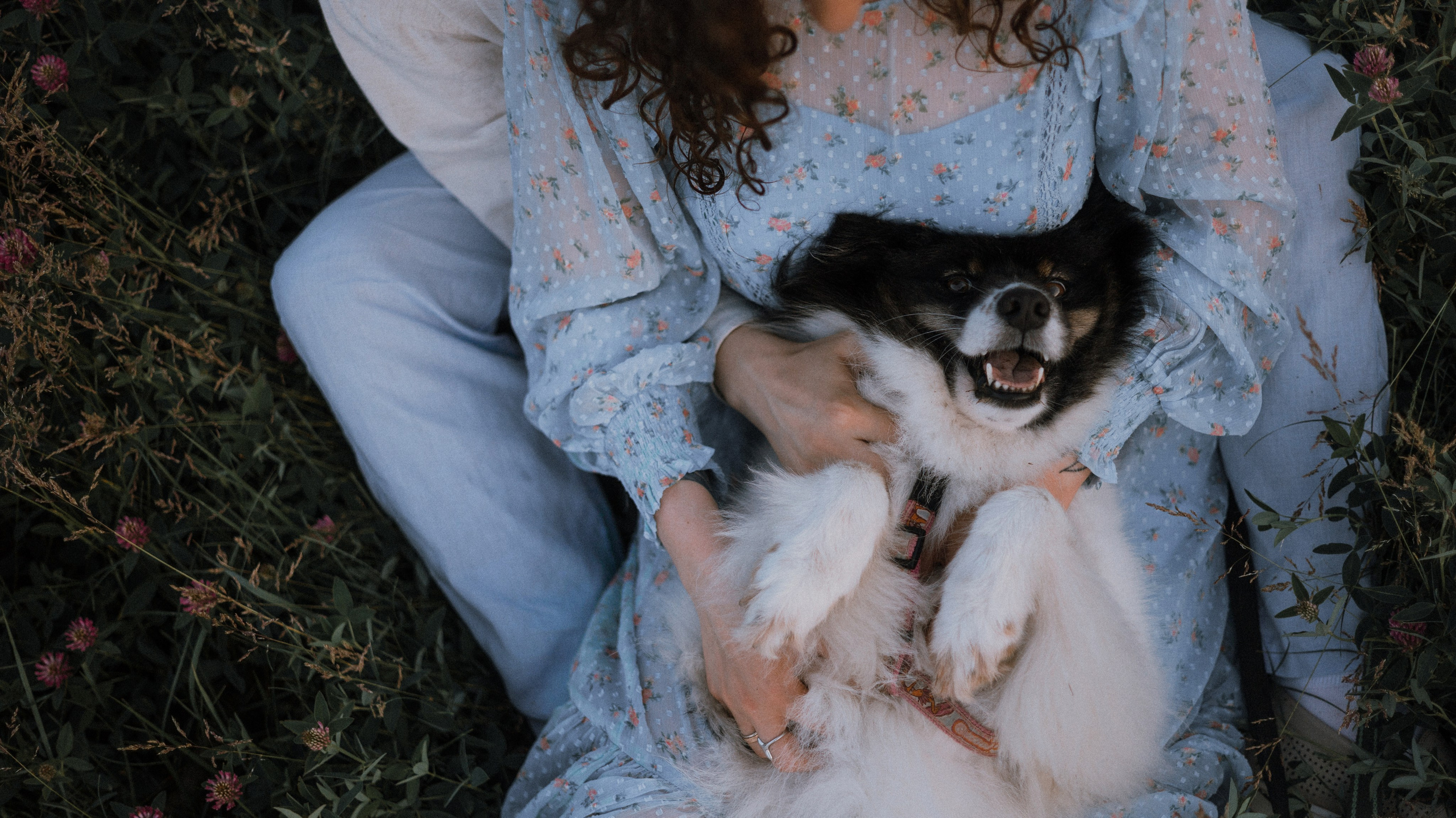 Валерия, Илья, Вита и Умка. Фотограф-анималист Богданова Полина