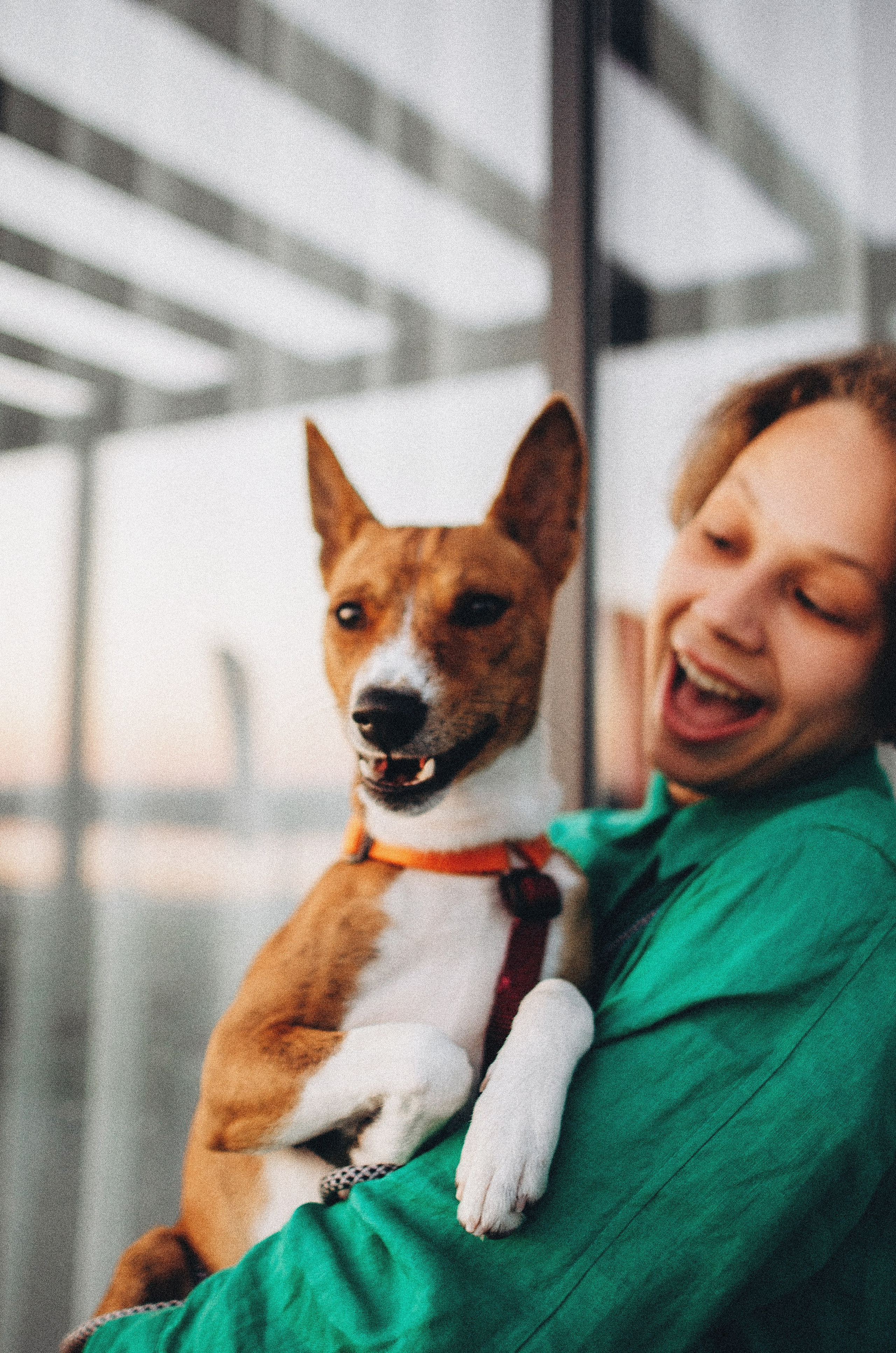 Снежана и Мэнни. Фотограф-анималист Богданова Полина