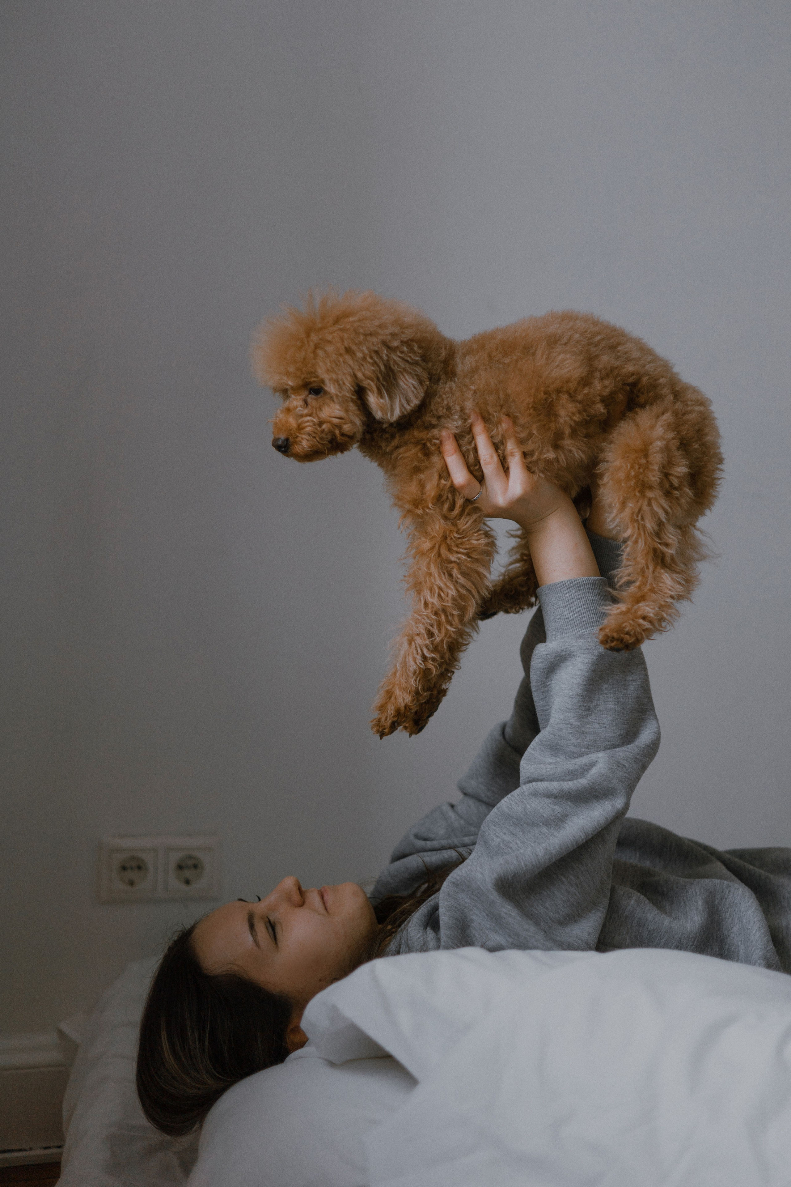 Маша, Одди и Нэвил. Фотограф-анималист Богданова Полина