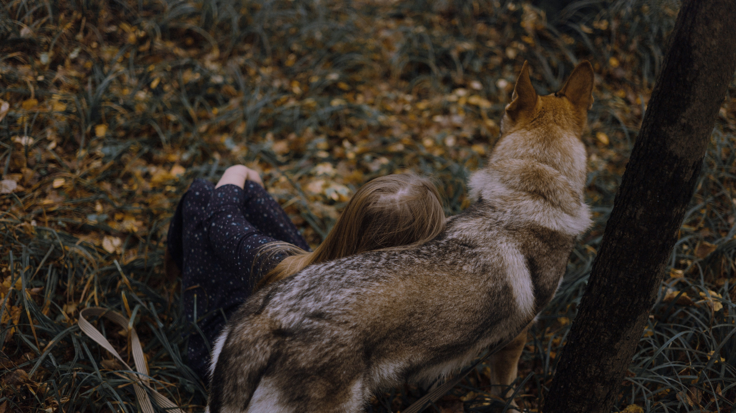 Полина и Вегард. Фотограф-анималист Богданова Полина