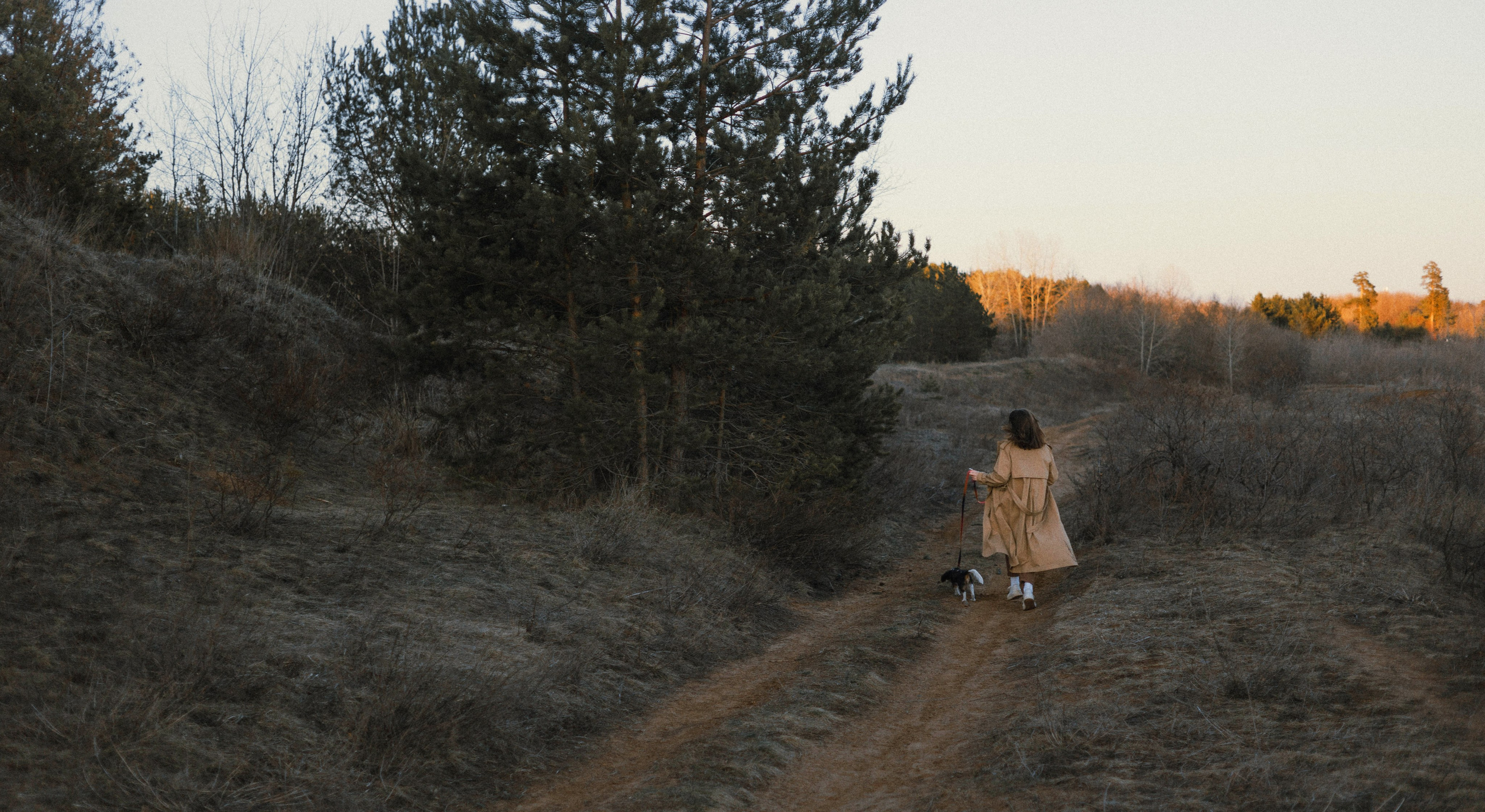 Ангелина и Йен. Фотограф-анималист Богданова Полина