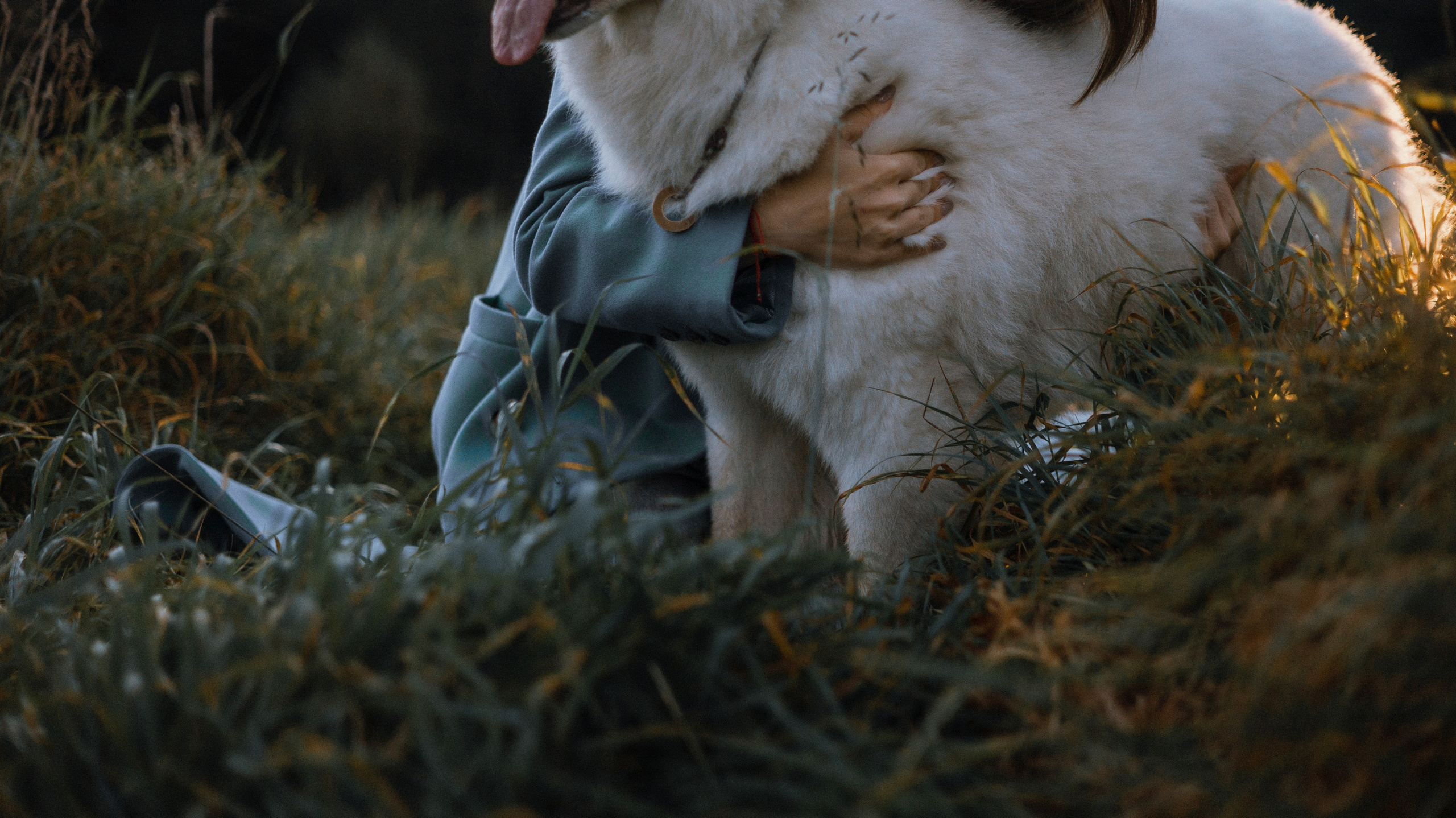 Вика и Уля. Фотограф-анималист Богданова Полина