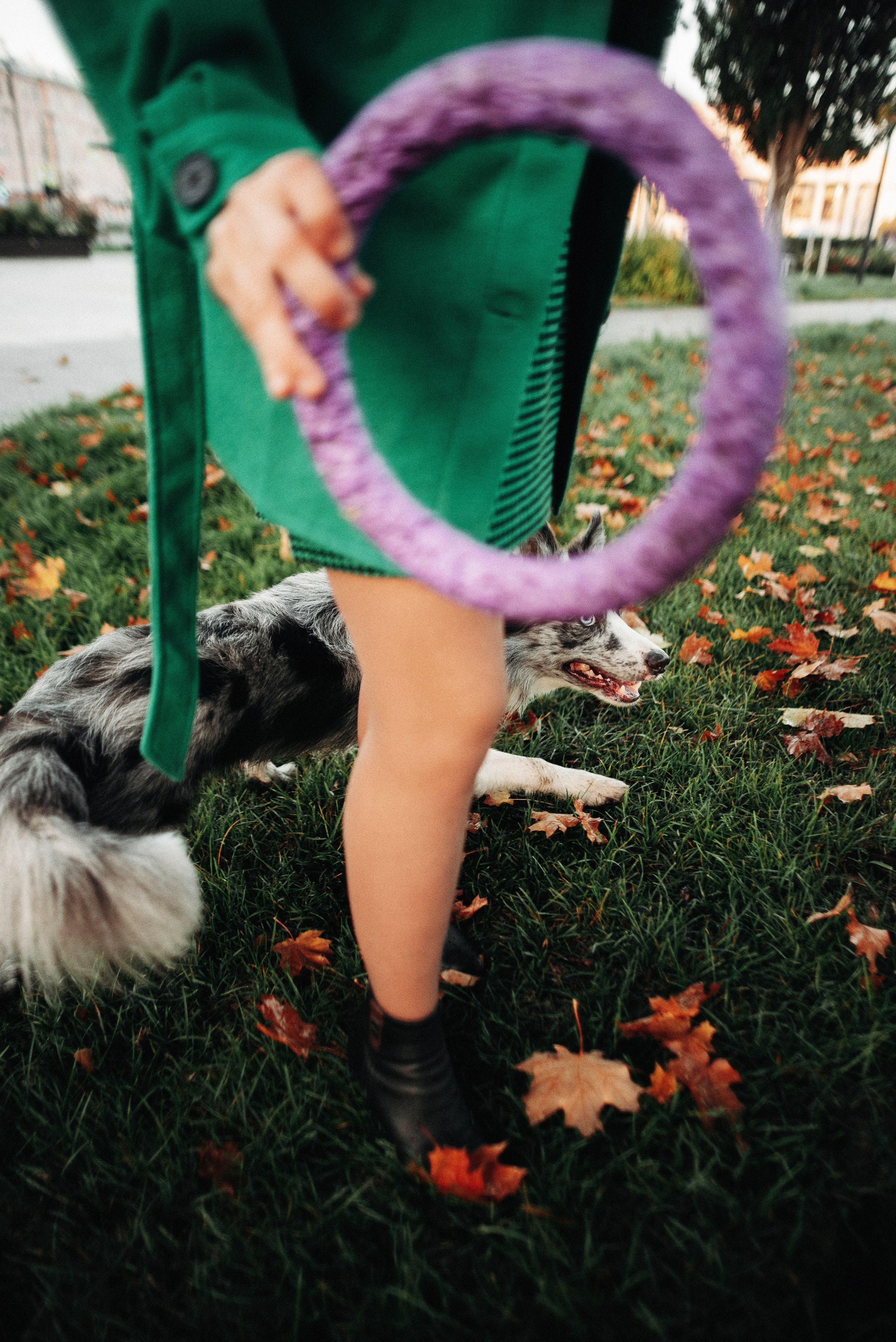 Диана и Робин. Фотограф-анималист Богданова Полина