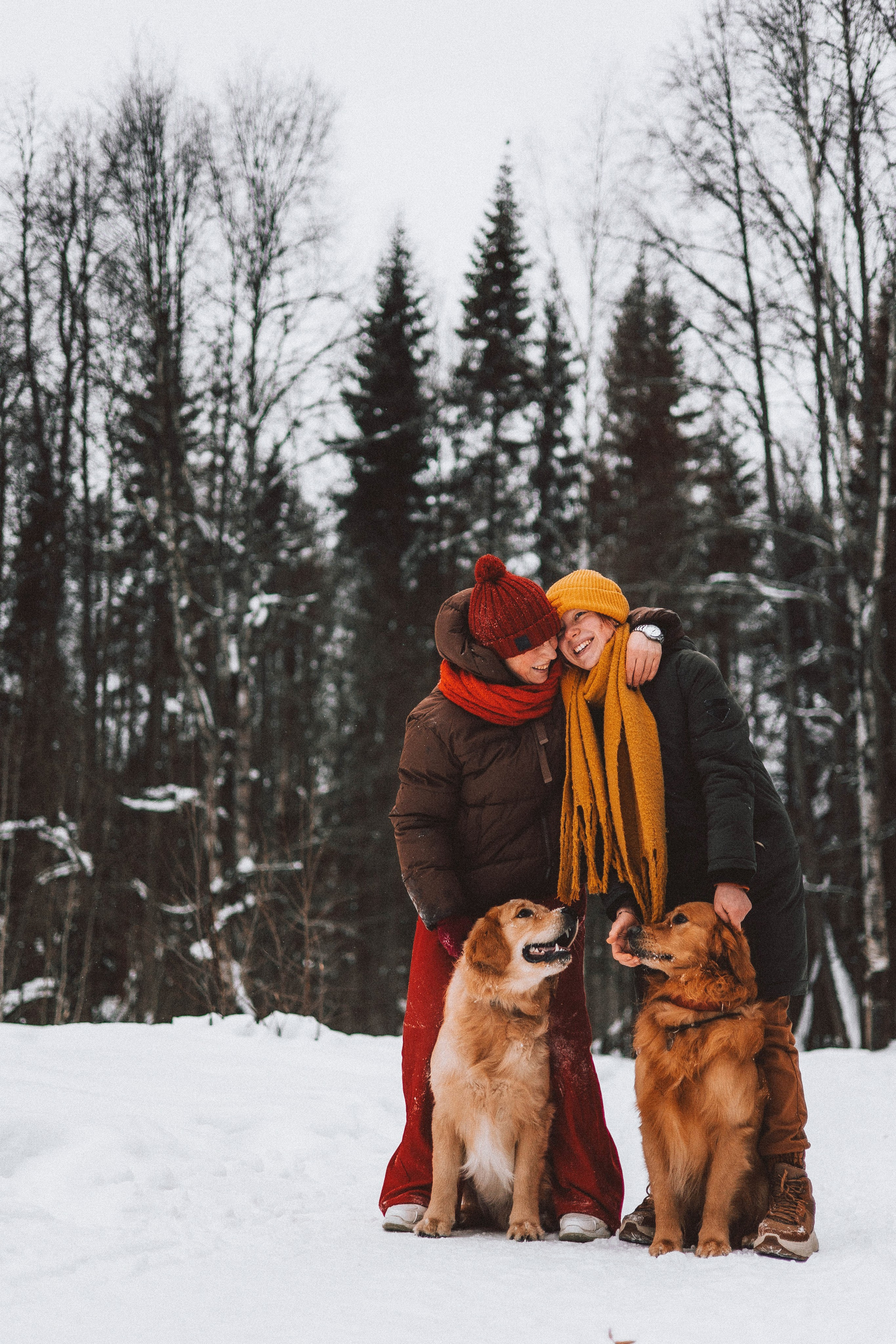 Саша, Юля, Грэй и Джой. Фотограф-анималист Богданова Полина
