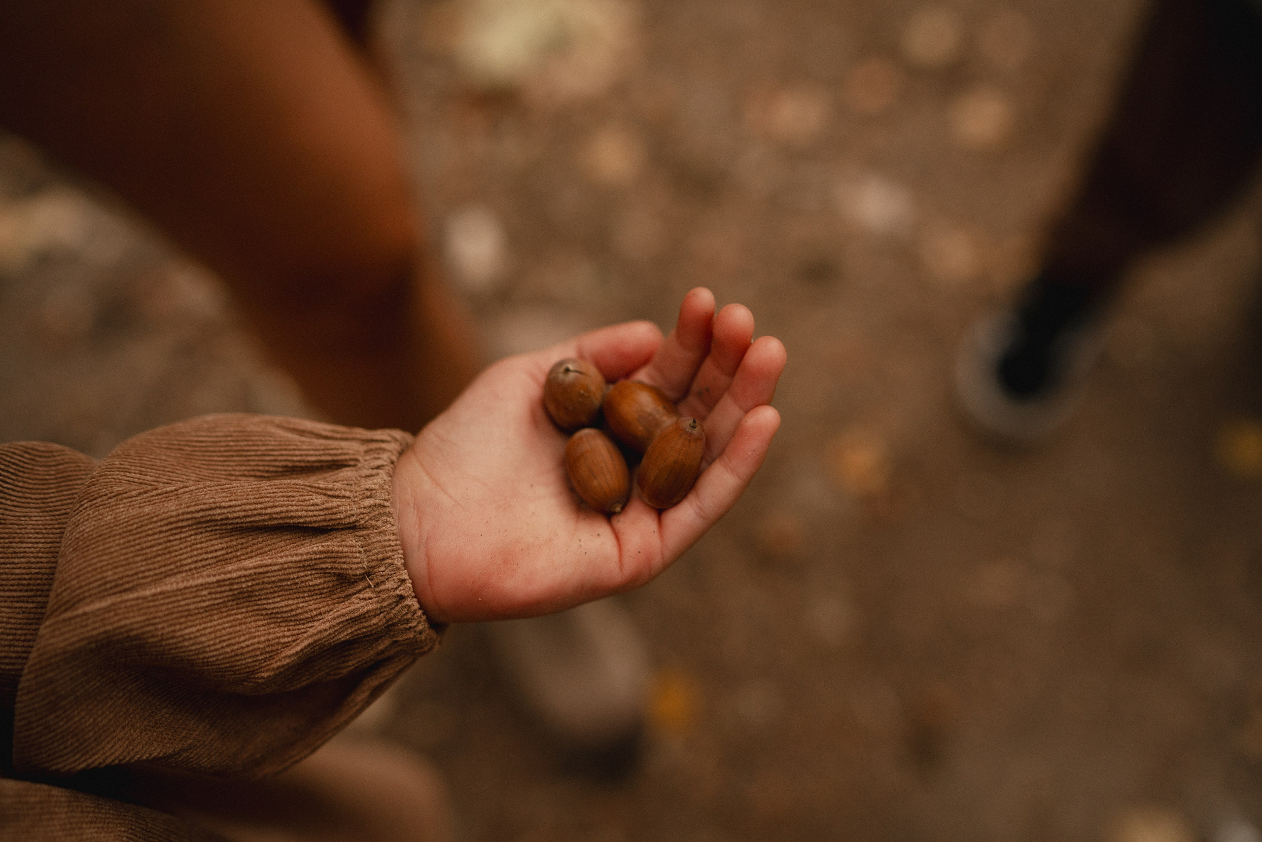 Найди со шляпкой…. Фотограф Анна Кобазева, Москва