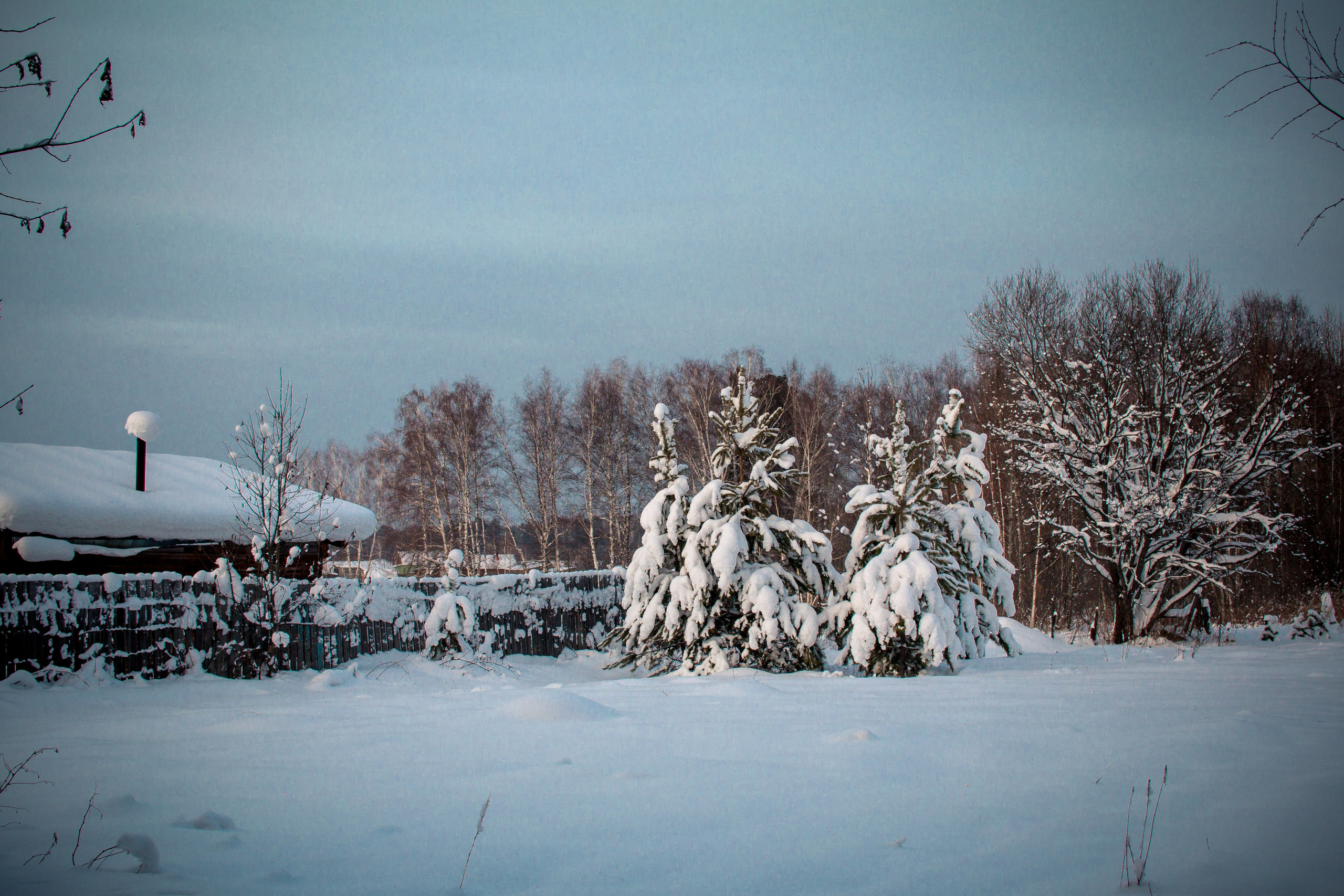 Дети — цветы жизни!. Ваш фотограф Северск | Томск