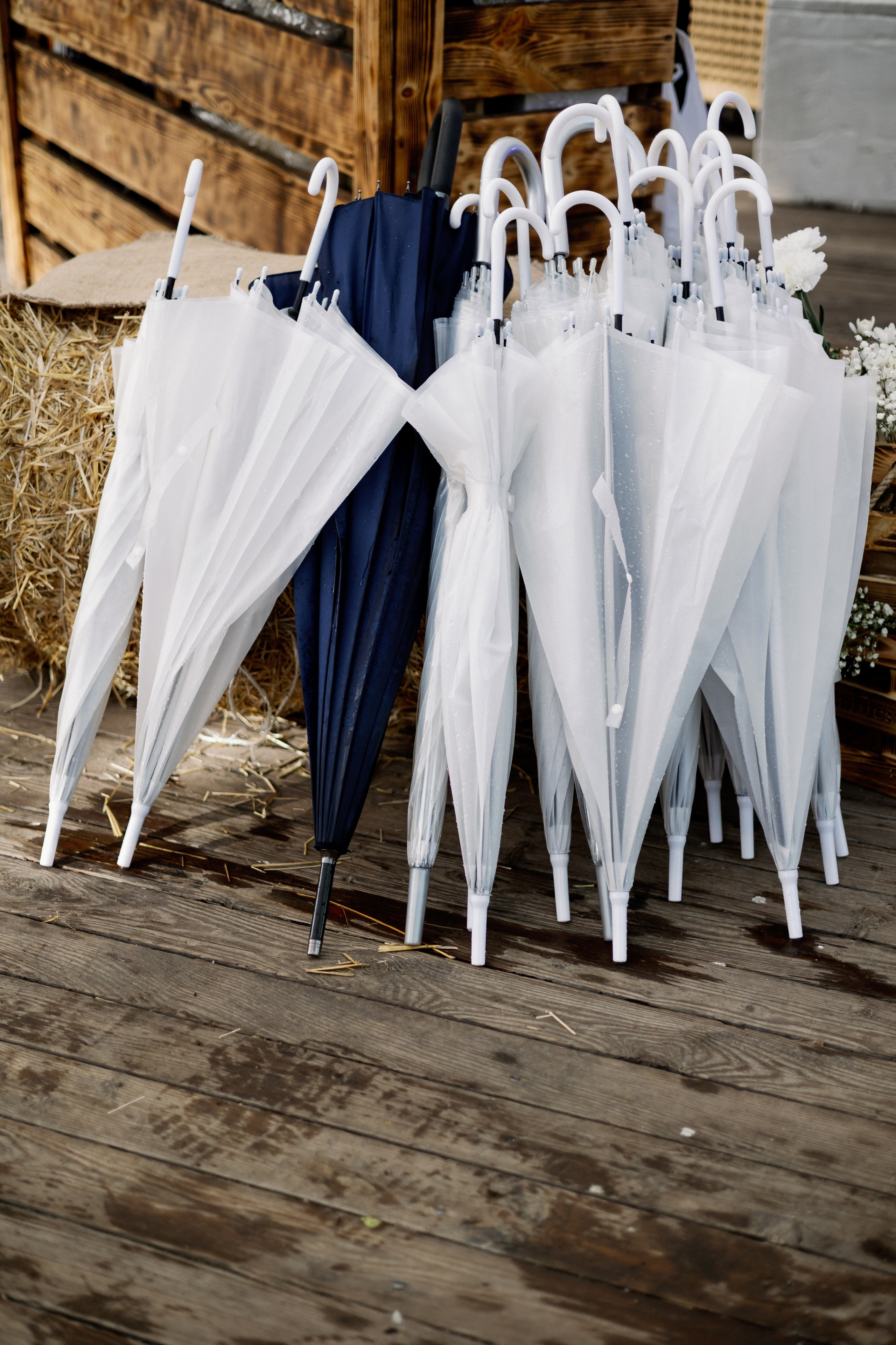 Максим и Екатерина. Фотограф в Красноярске