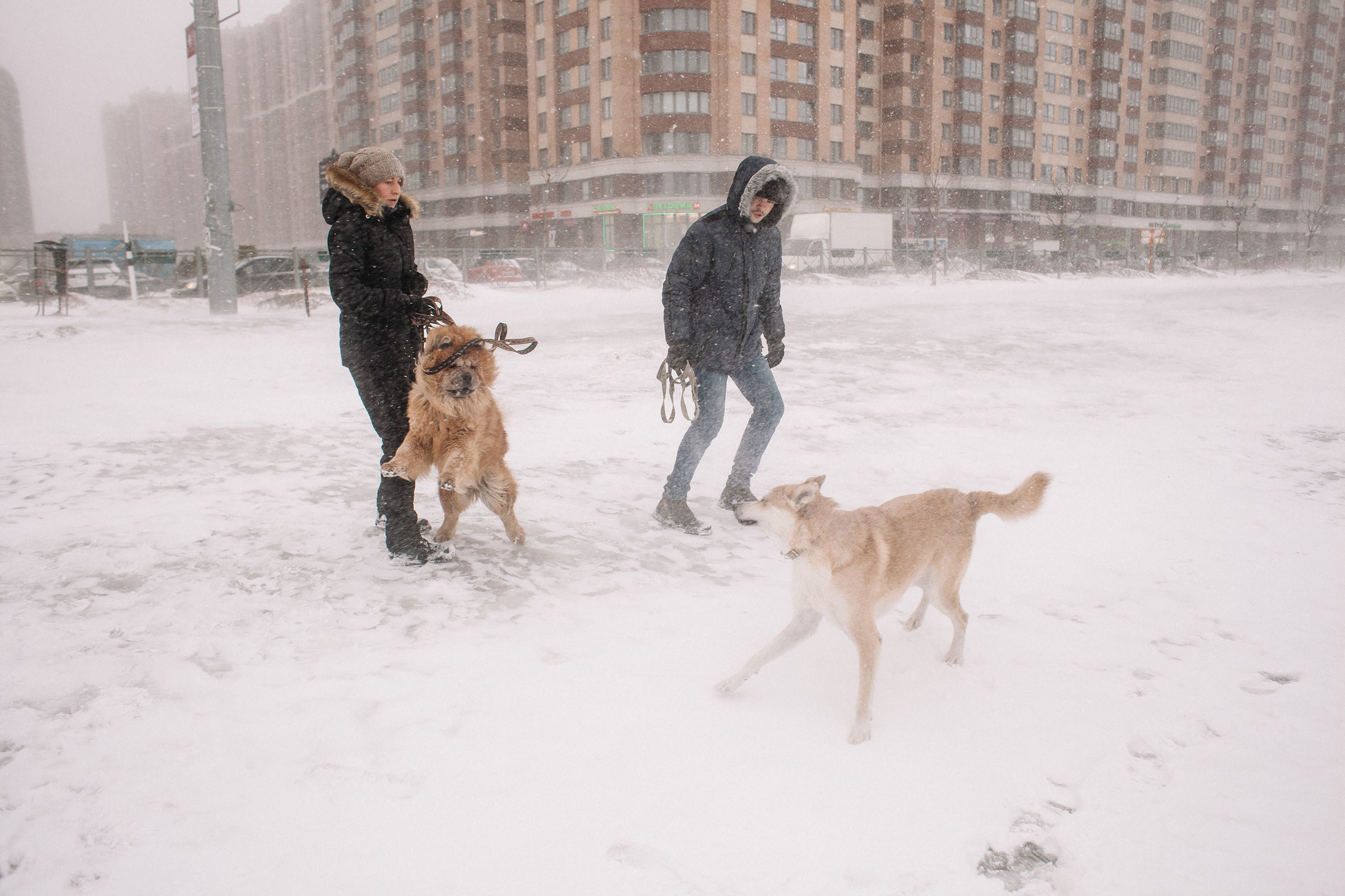 Оккервильская метель. Семейный и свадебный фотограф в Майкопе Михаил Мартиросян