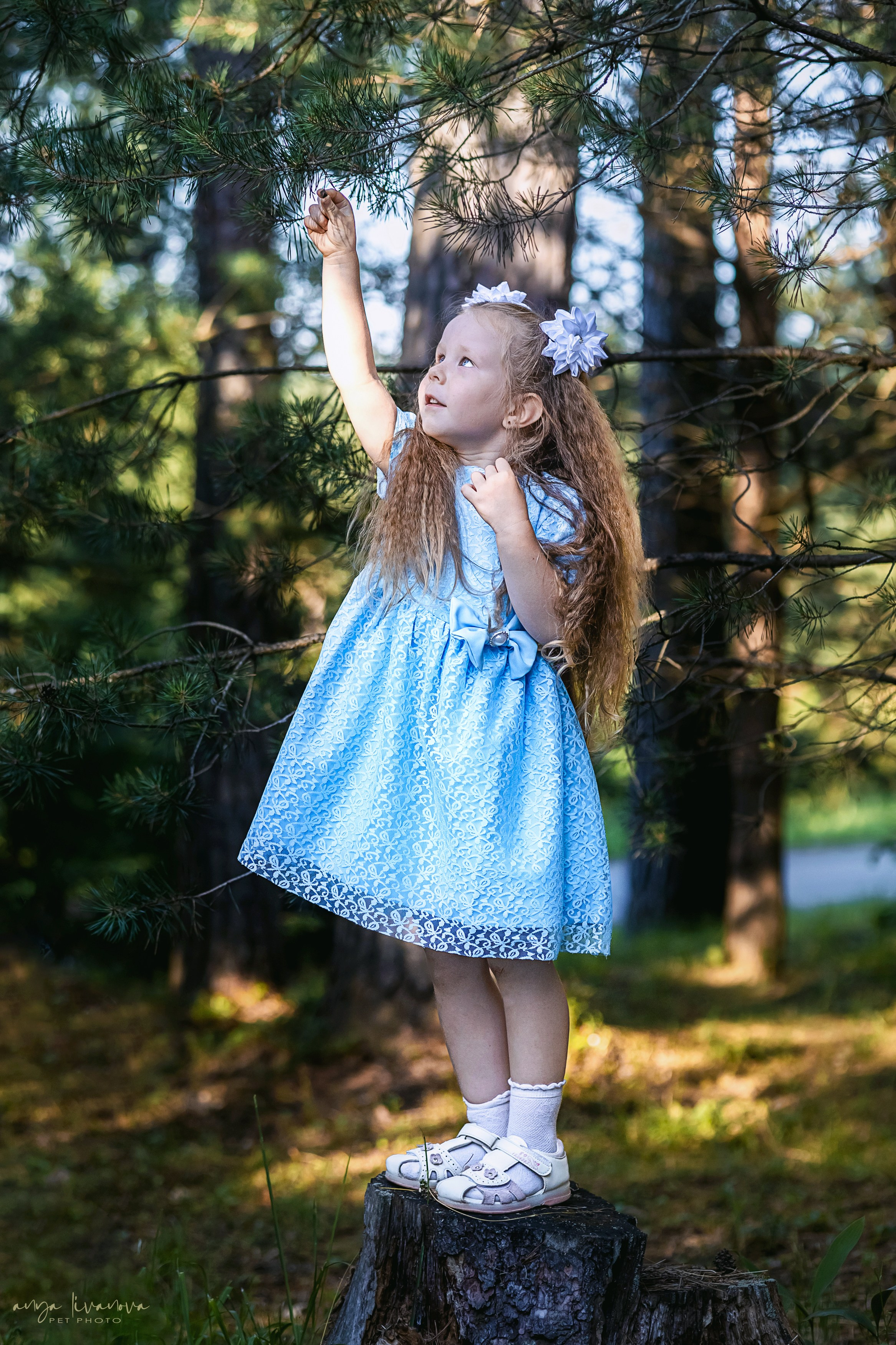 Дёмино. Фотограф анималист Аня Ливанова | Рыбинск