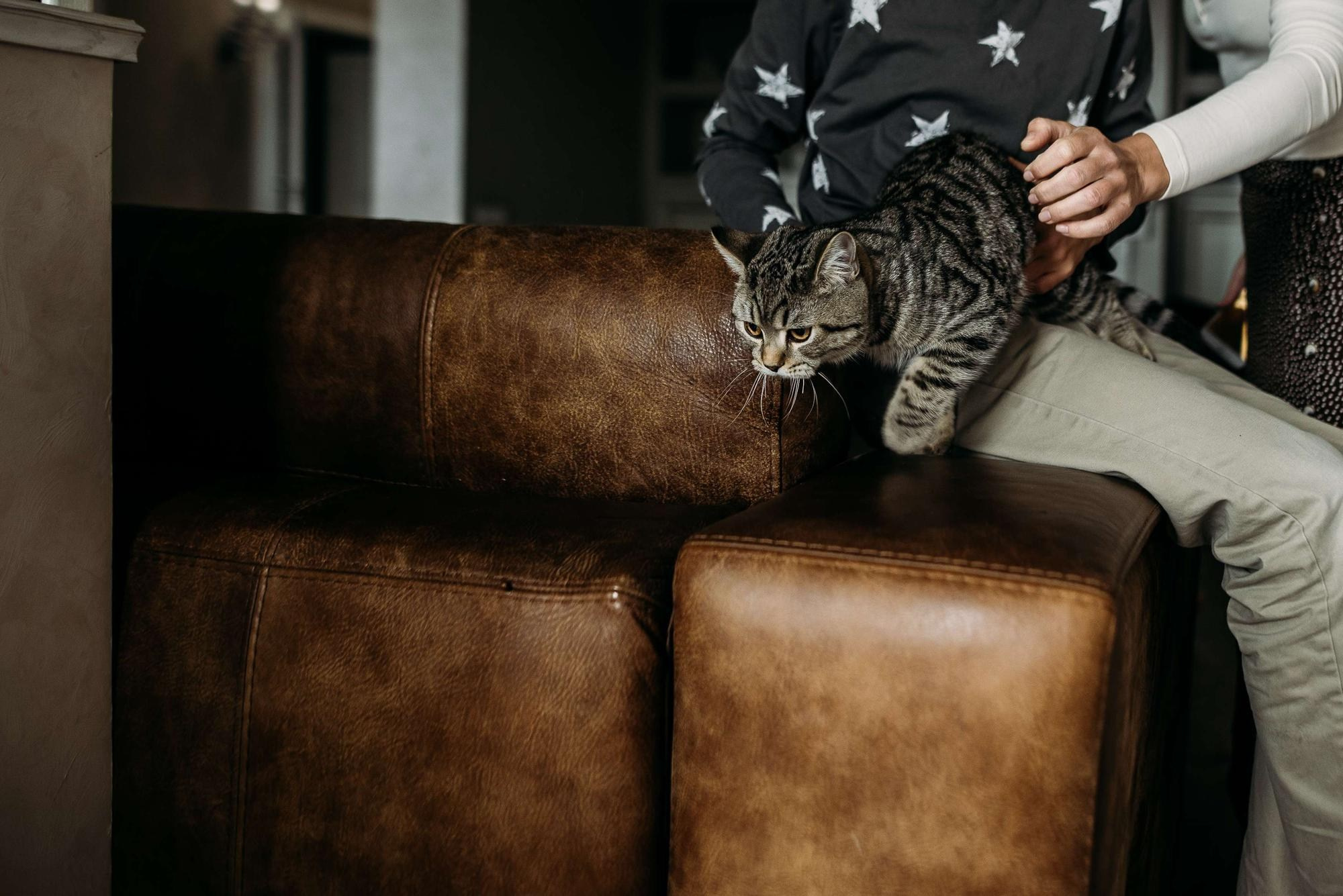 СЕМЕЙНЫЕ ВЫХОДНЫЕ. Свадебный фотограф в Ставрополе Сергей Шляхов
