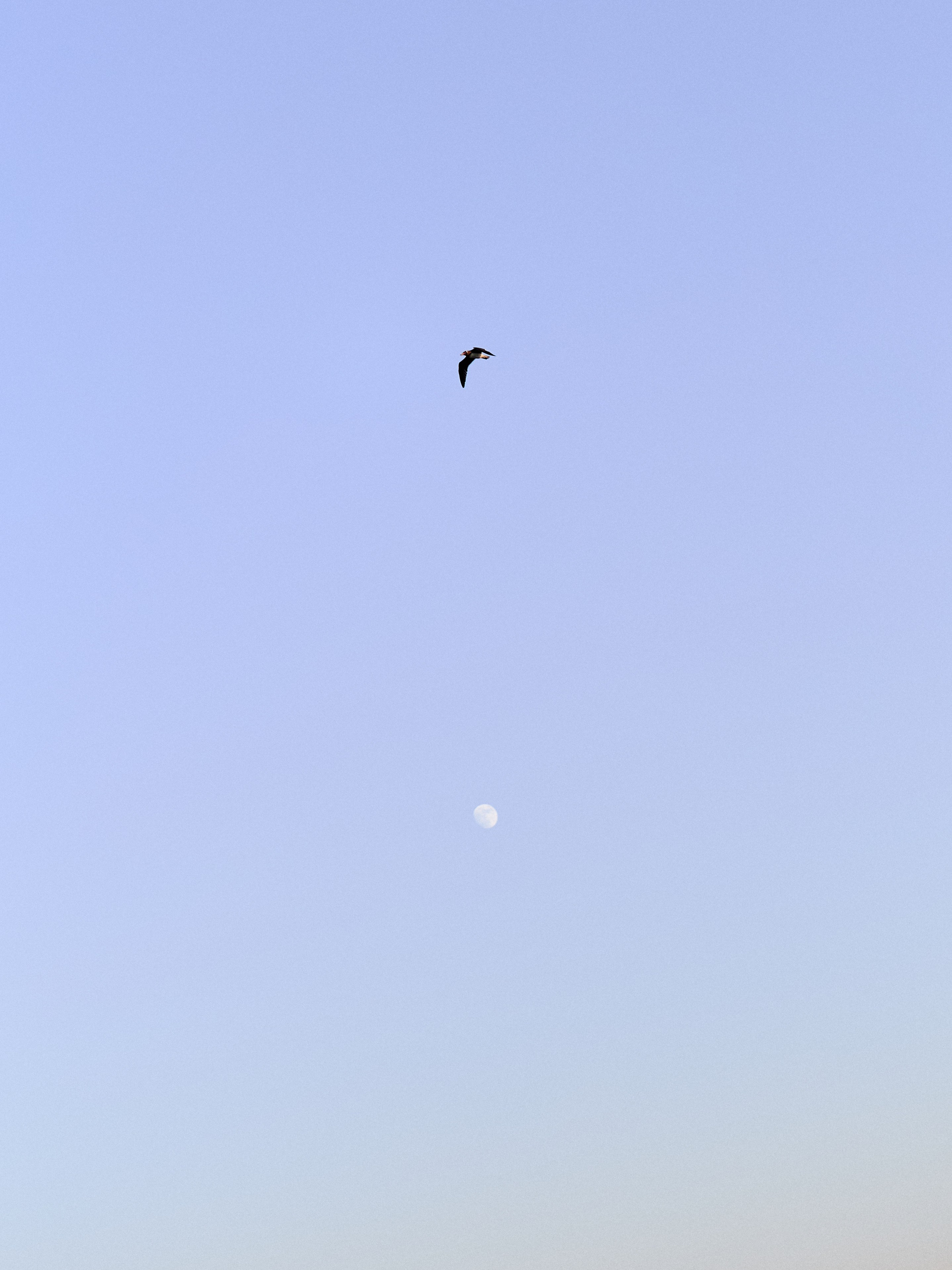 Другое 3. Jorgis Talè — photographer, kind person, teacher of arts and other mag