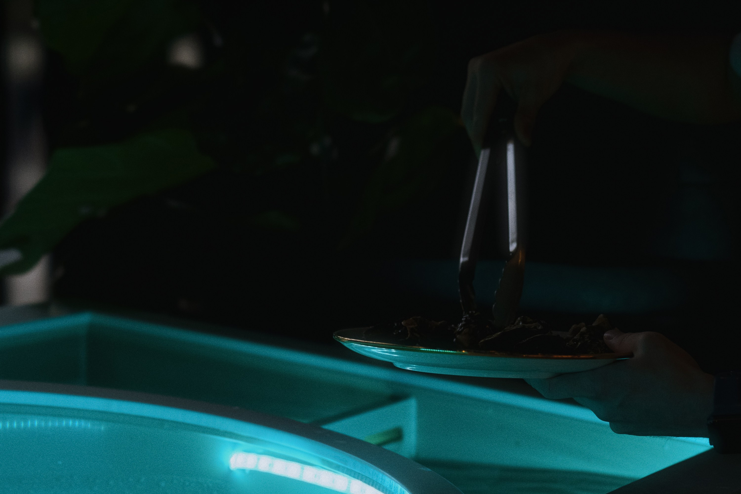 Café krasnodar. Фотограф Юрин Евгений