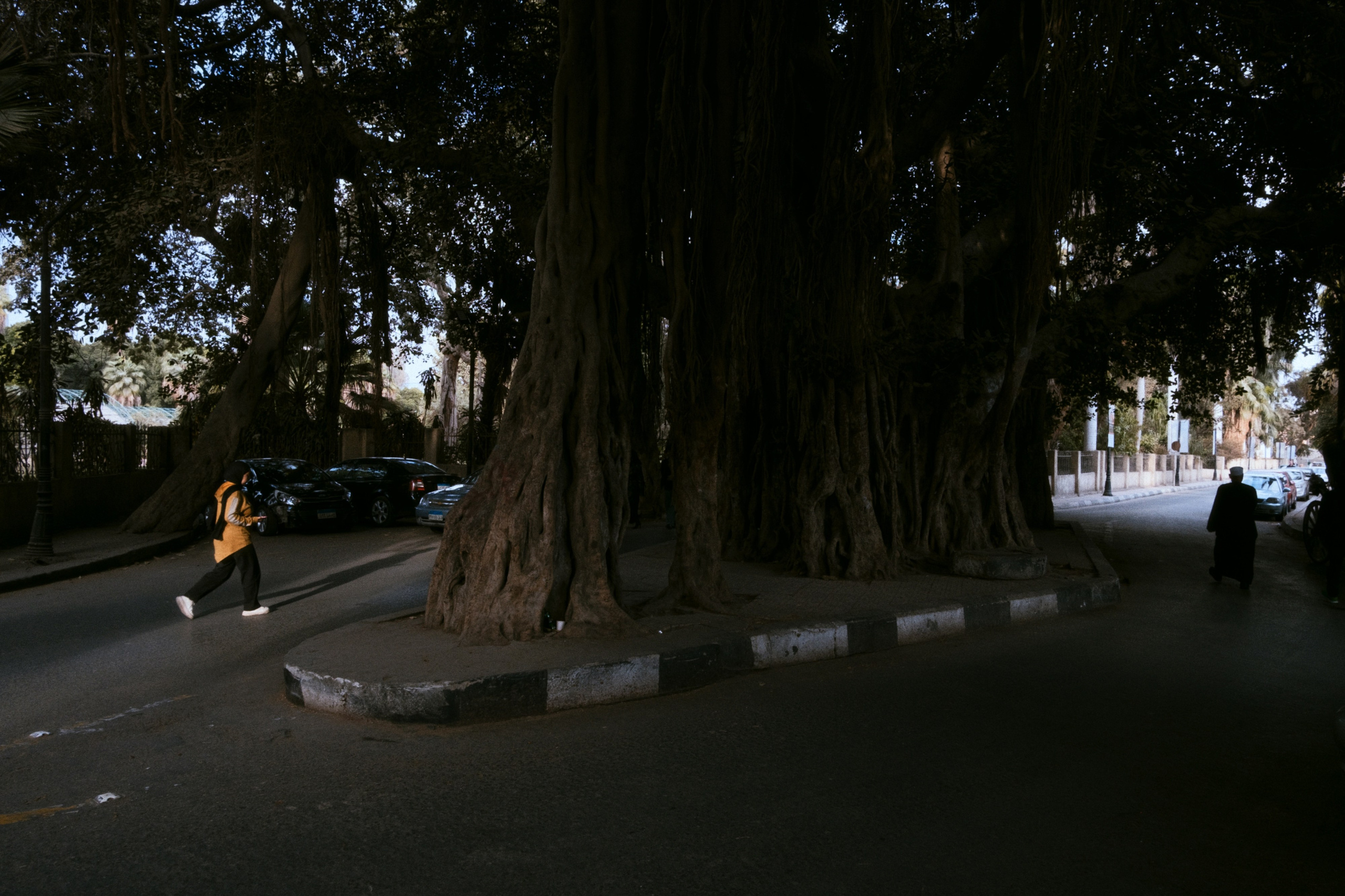 Cairo / Egypt AW25. Фотограф Юрин Евгений