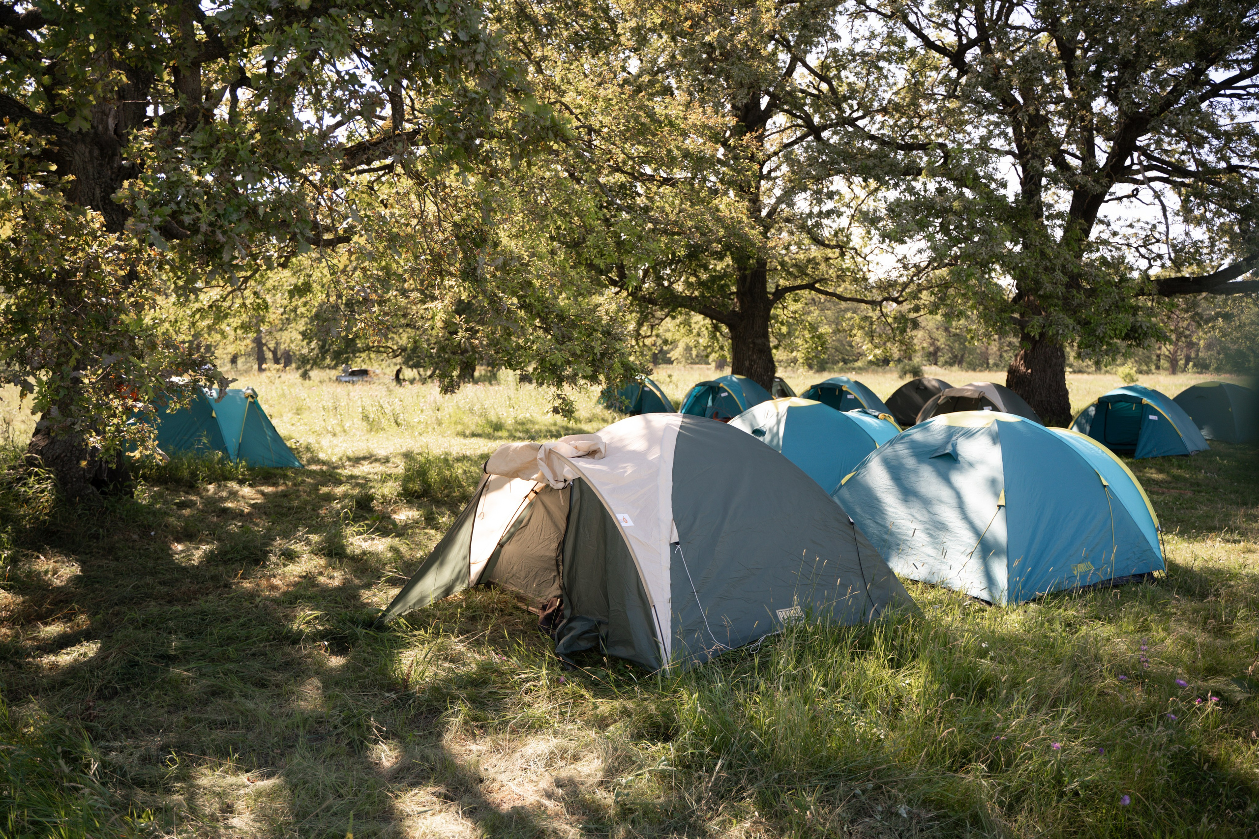 Палаточный форум для взрослых CAMPot 2024. Фотограф Надежда Погребняк | Рязань | Москва