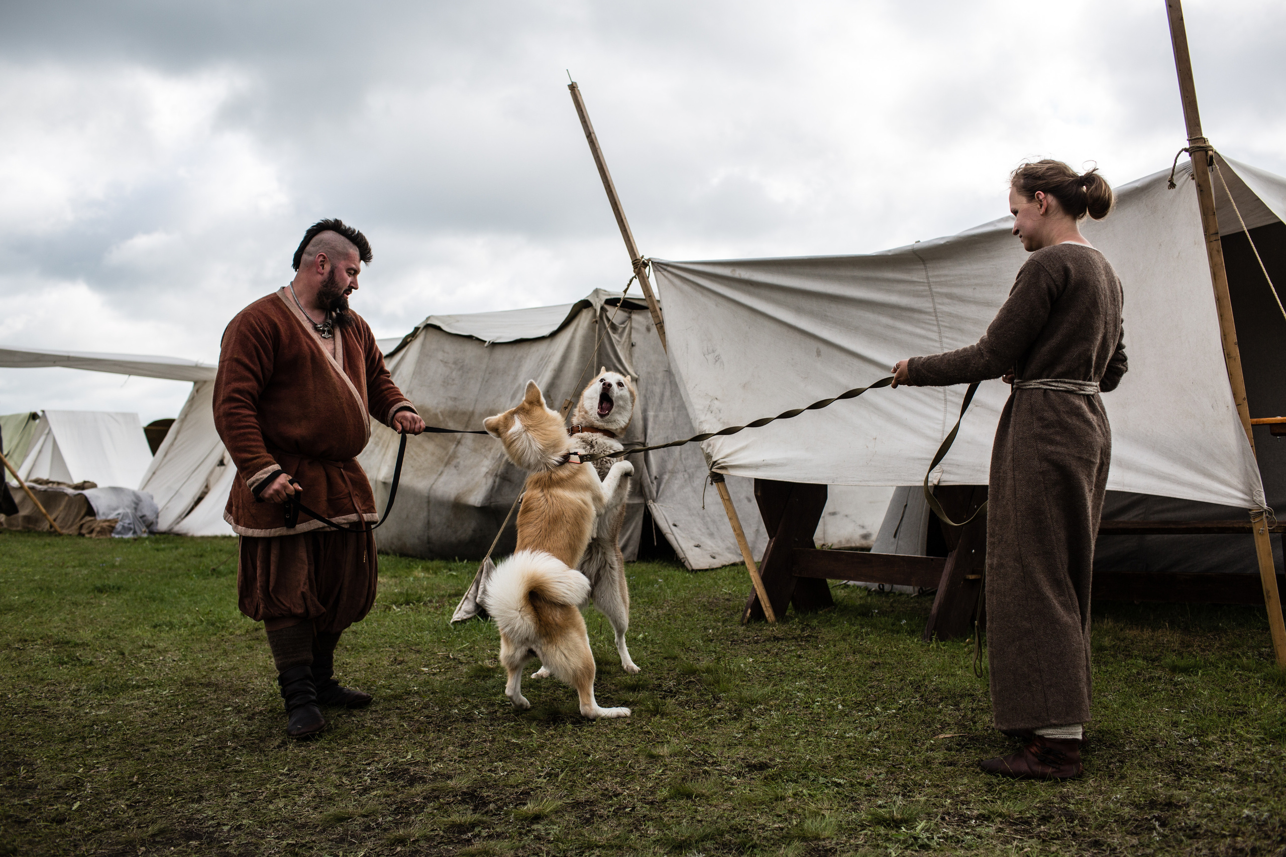 Возвращение в Эпоху Викингов. Фотограф Роман Демьяненко