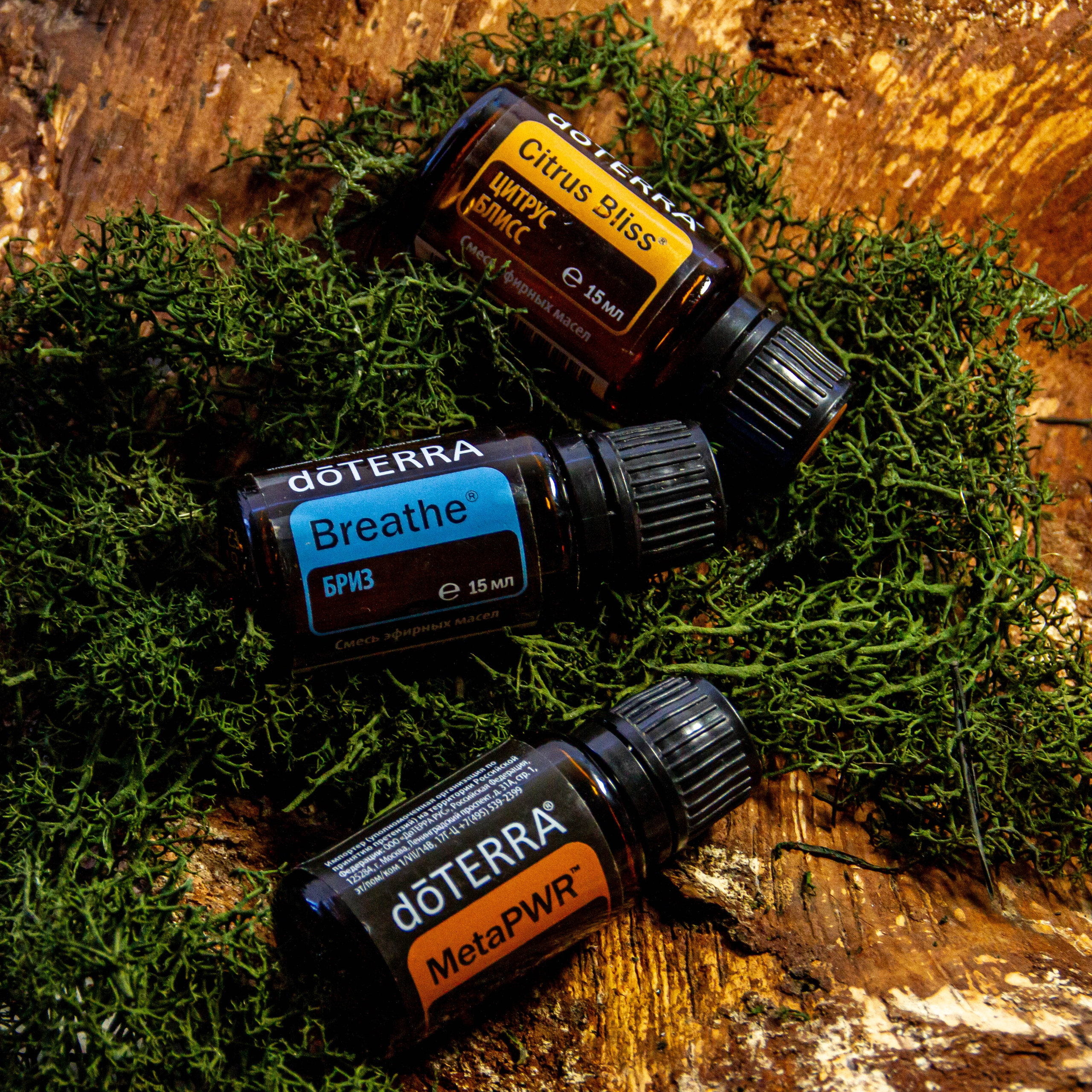 «Без названия»