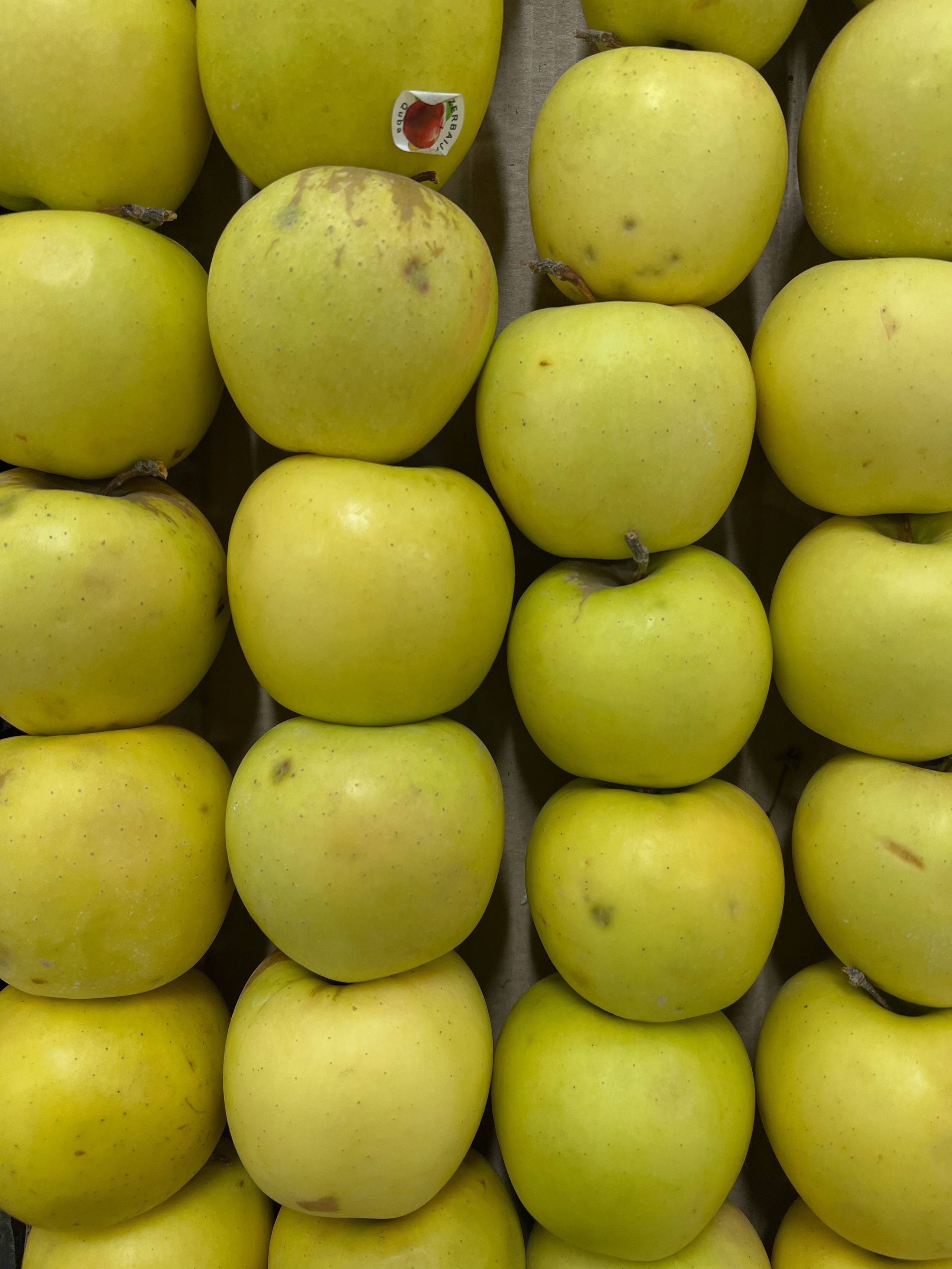 Все пресеты LR | Эффект плёнки. Кинематографичный фотограф, видеограф Лина Плешакова, Санкт-Петербург