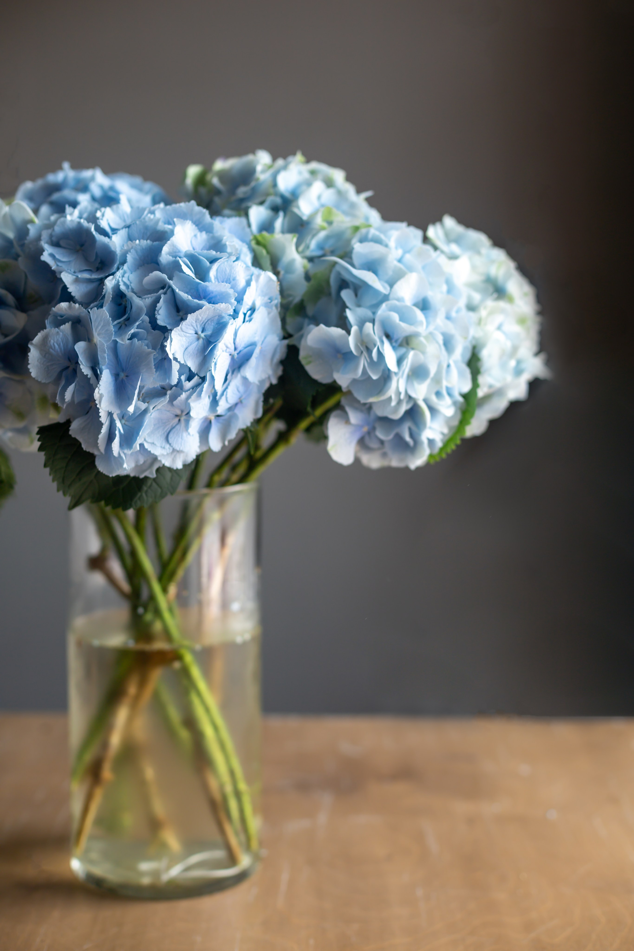 Салон цветов «Гранд Каприз». Предметный & фудфотограф Рязань