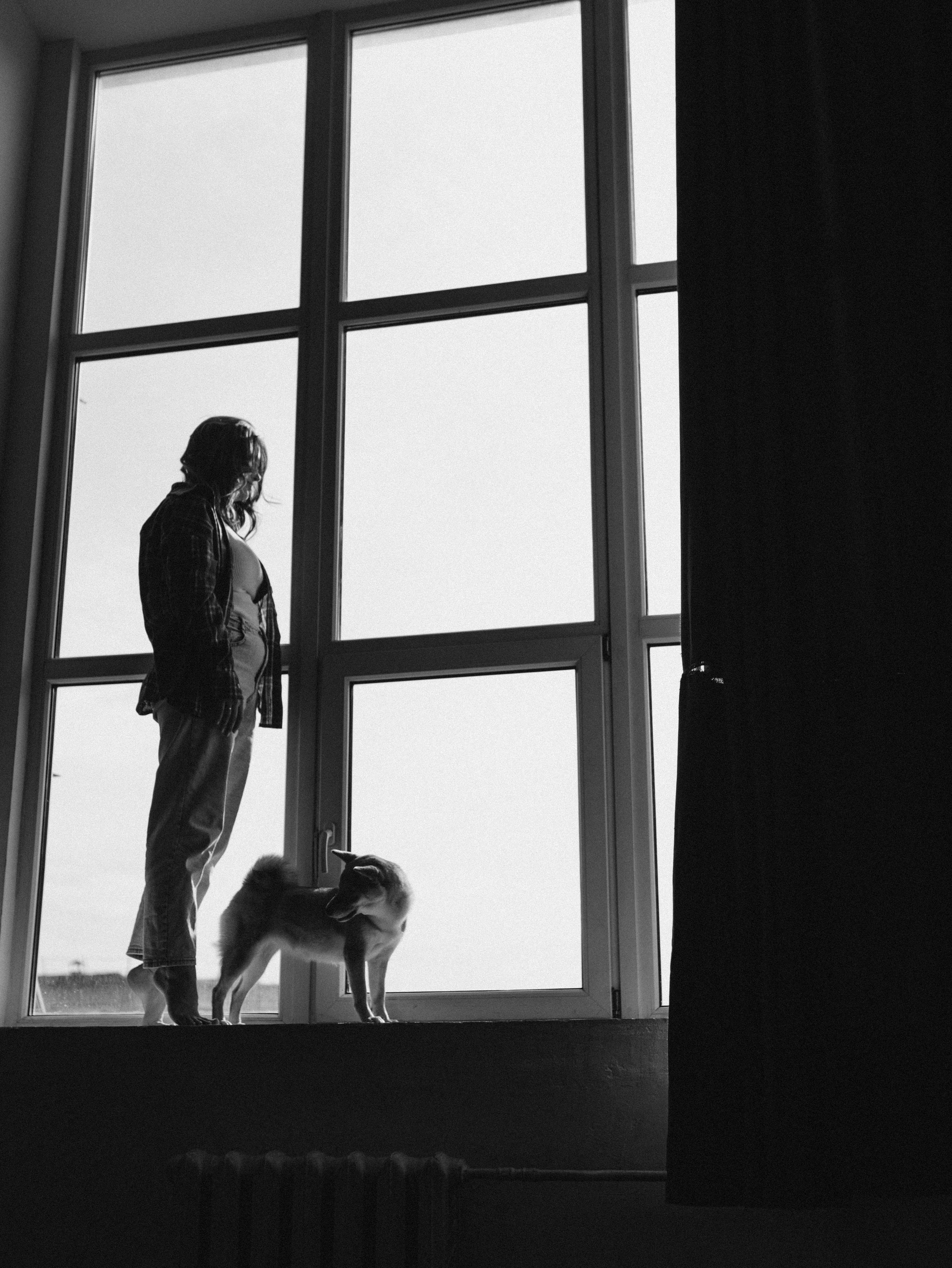 Мика и Настя. Фотограф-анималист в Москве Кириллова Татьяна