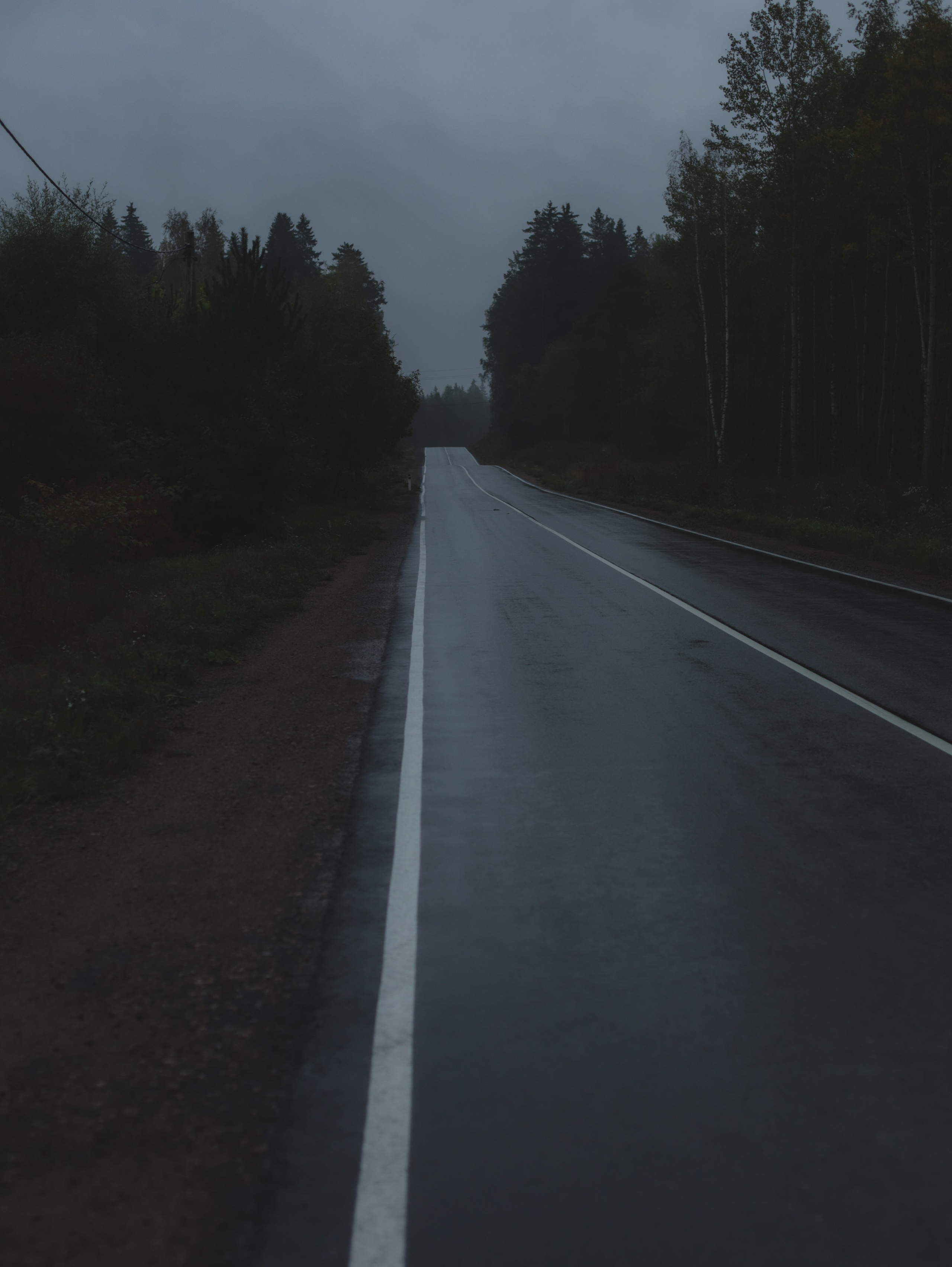 Природа &. Фотохудожник в СПб