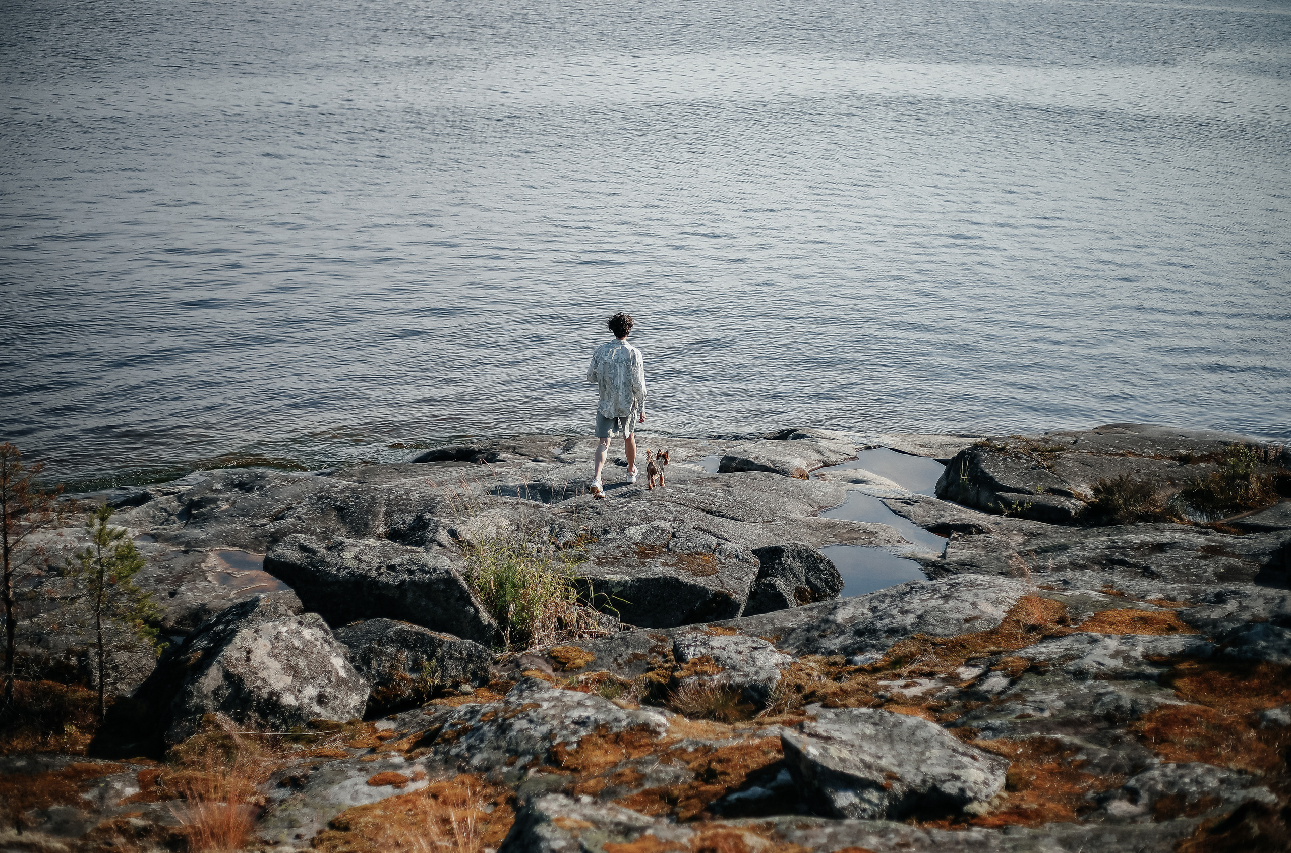 Собаки и их люди. Фотограф- анималист Санкт-Петербург