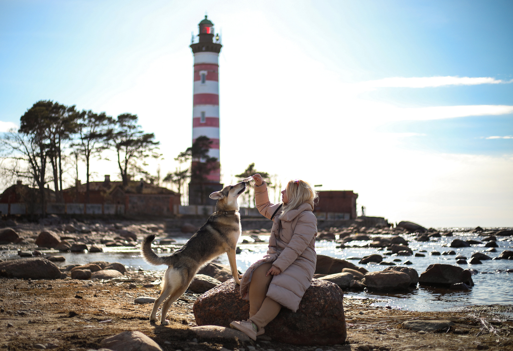 Собаки и их люди. Фотограф- анималист Санкт-Петербург
