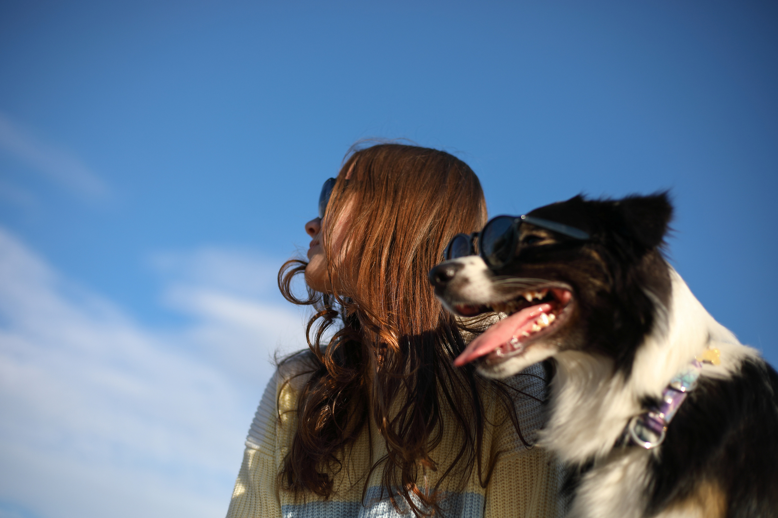 Собаки и их люди. Фотограф- анималист Санкт-Петербург