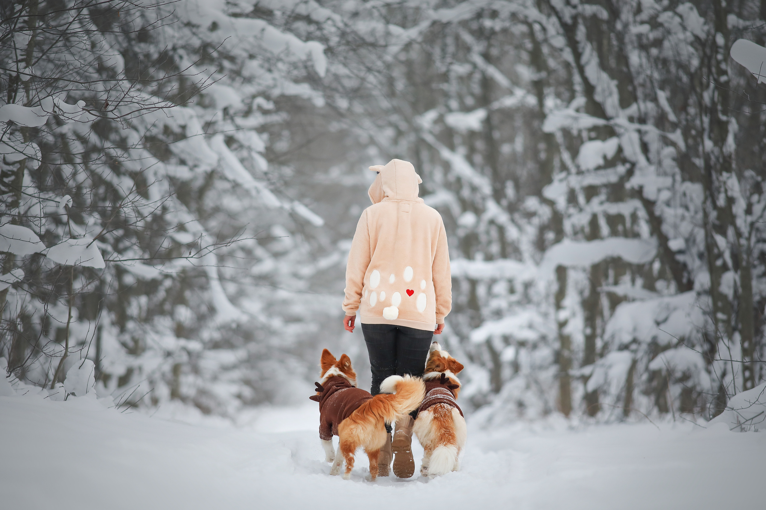 Собаки и их люди. Фотограф- анималист Санкт-Петербург