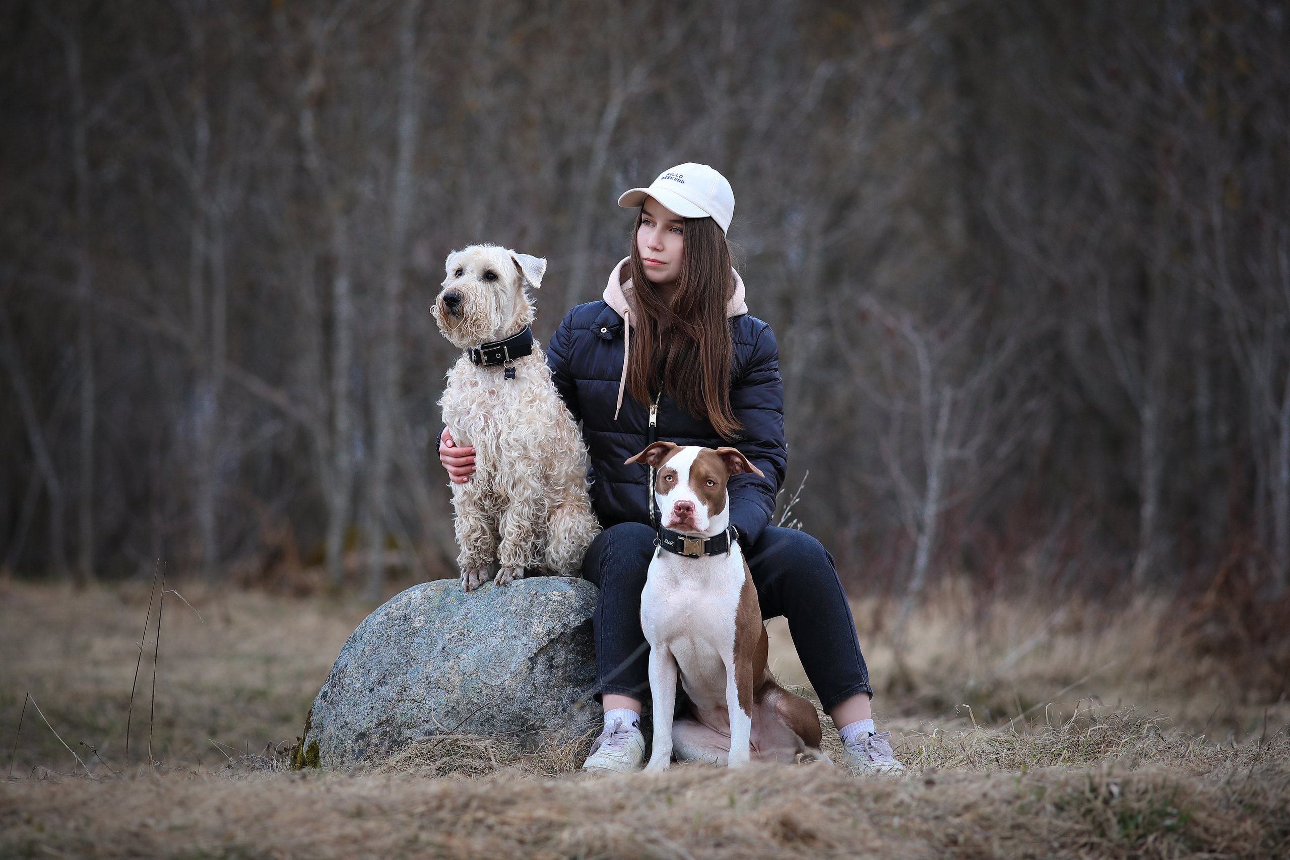 Собаки и их люди. Фотограф- анималист Санкт-Петербург