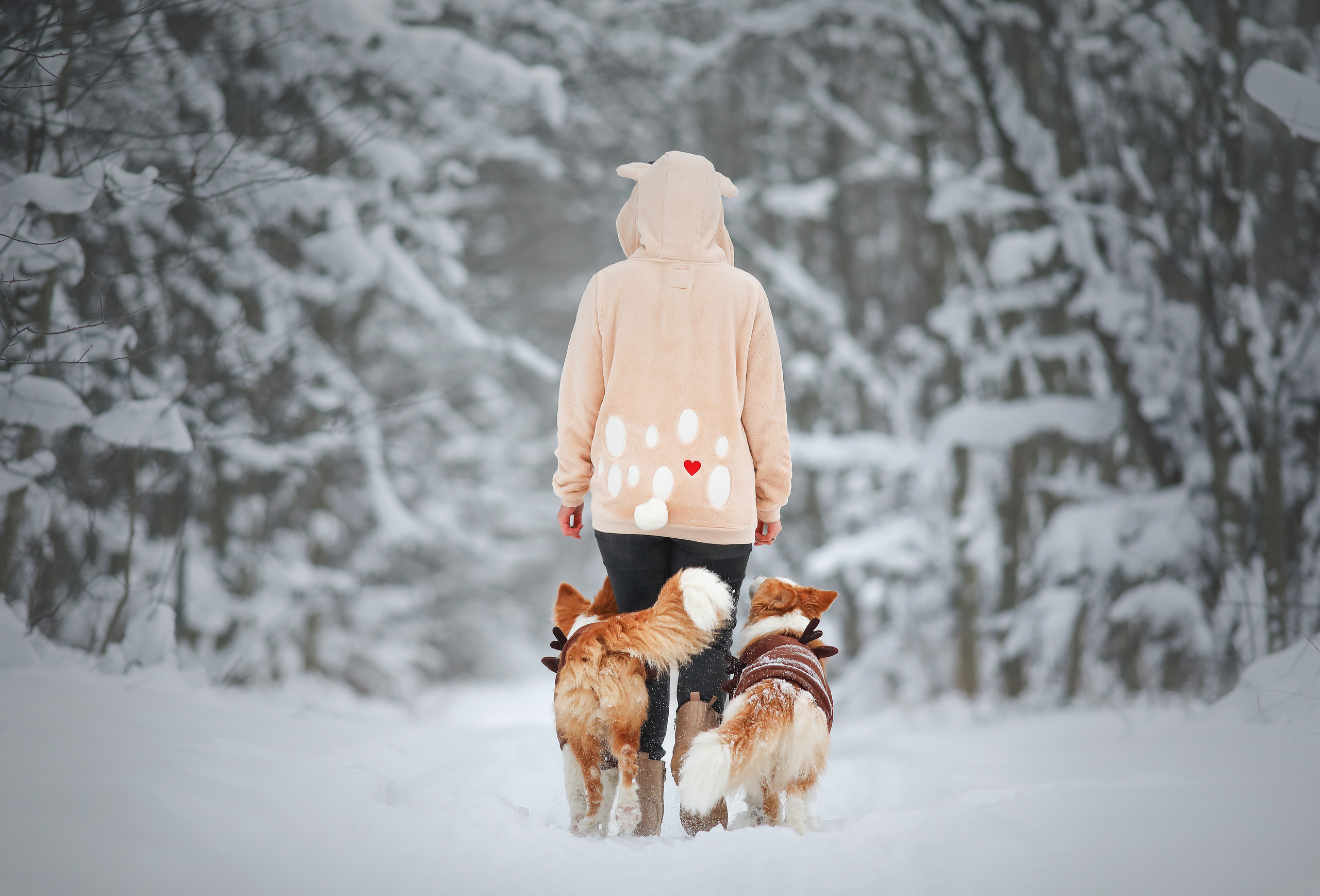 Собаки и их люди. Фотограф- анималист Санкт-Петербург
