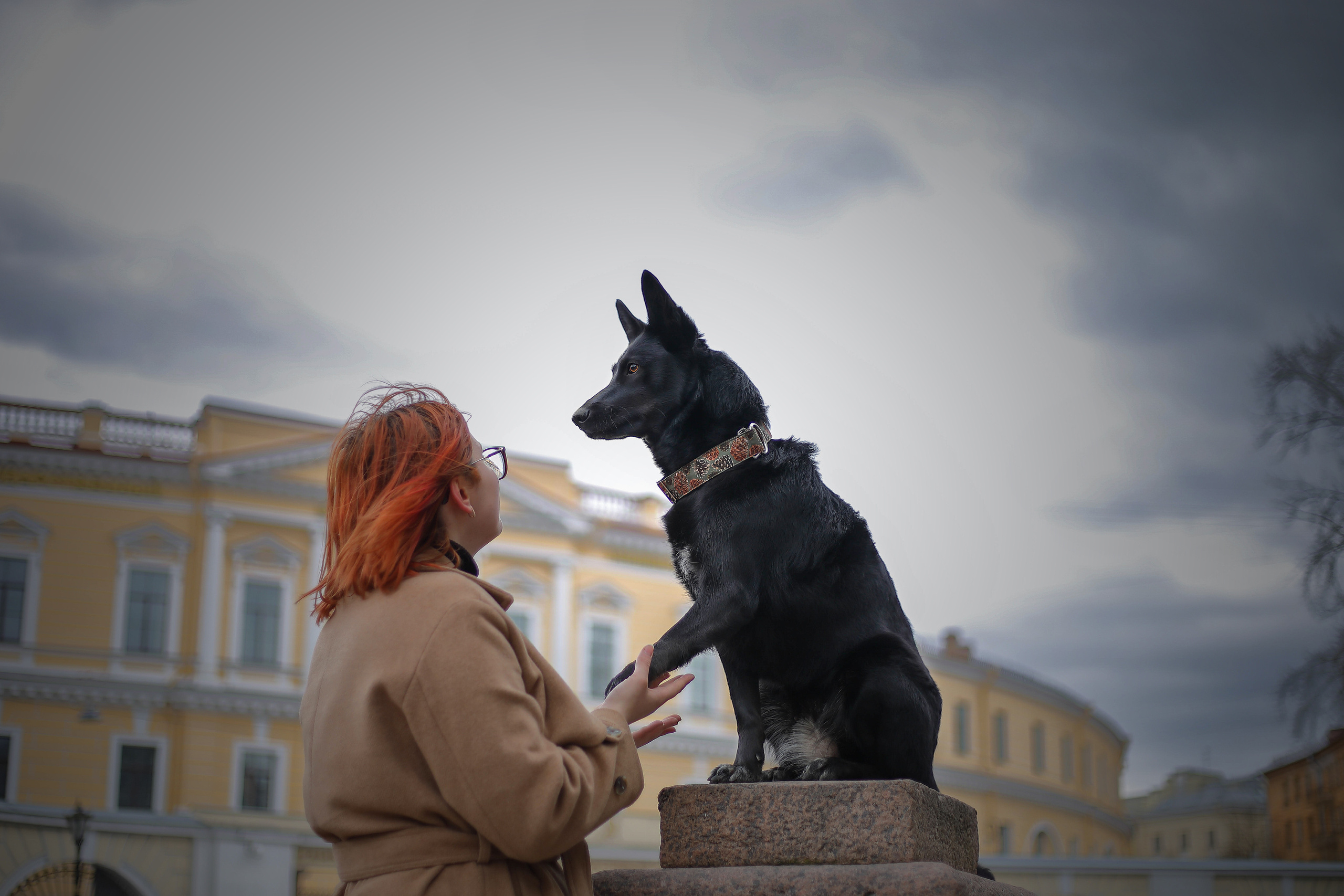 Собаки и их люди. Фотограф- анималист Санкт-Петербург