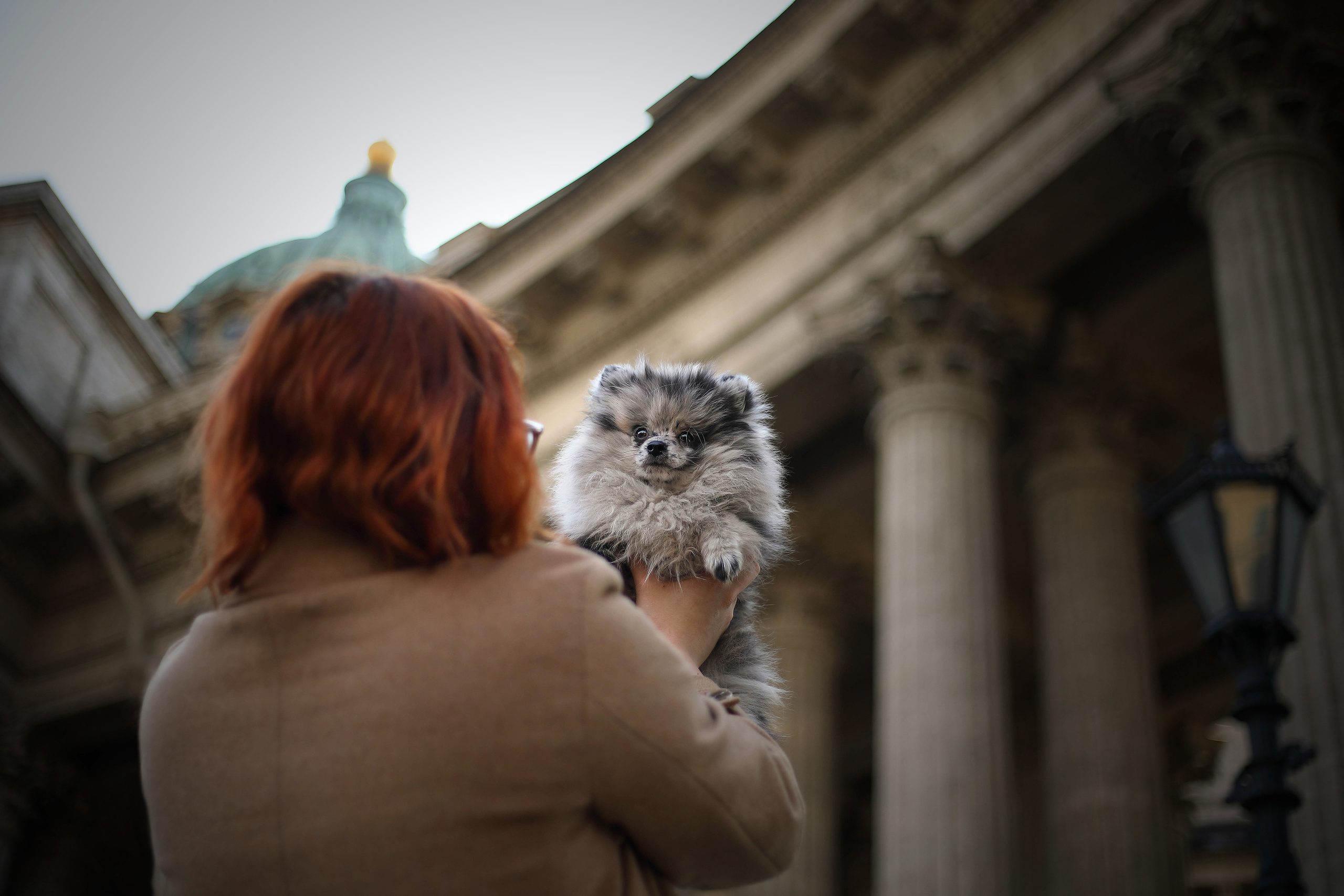 Собаки и их люди. Фотограф- анималист Санкт-Петербург