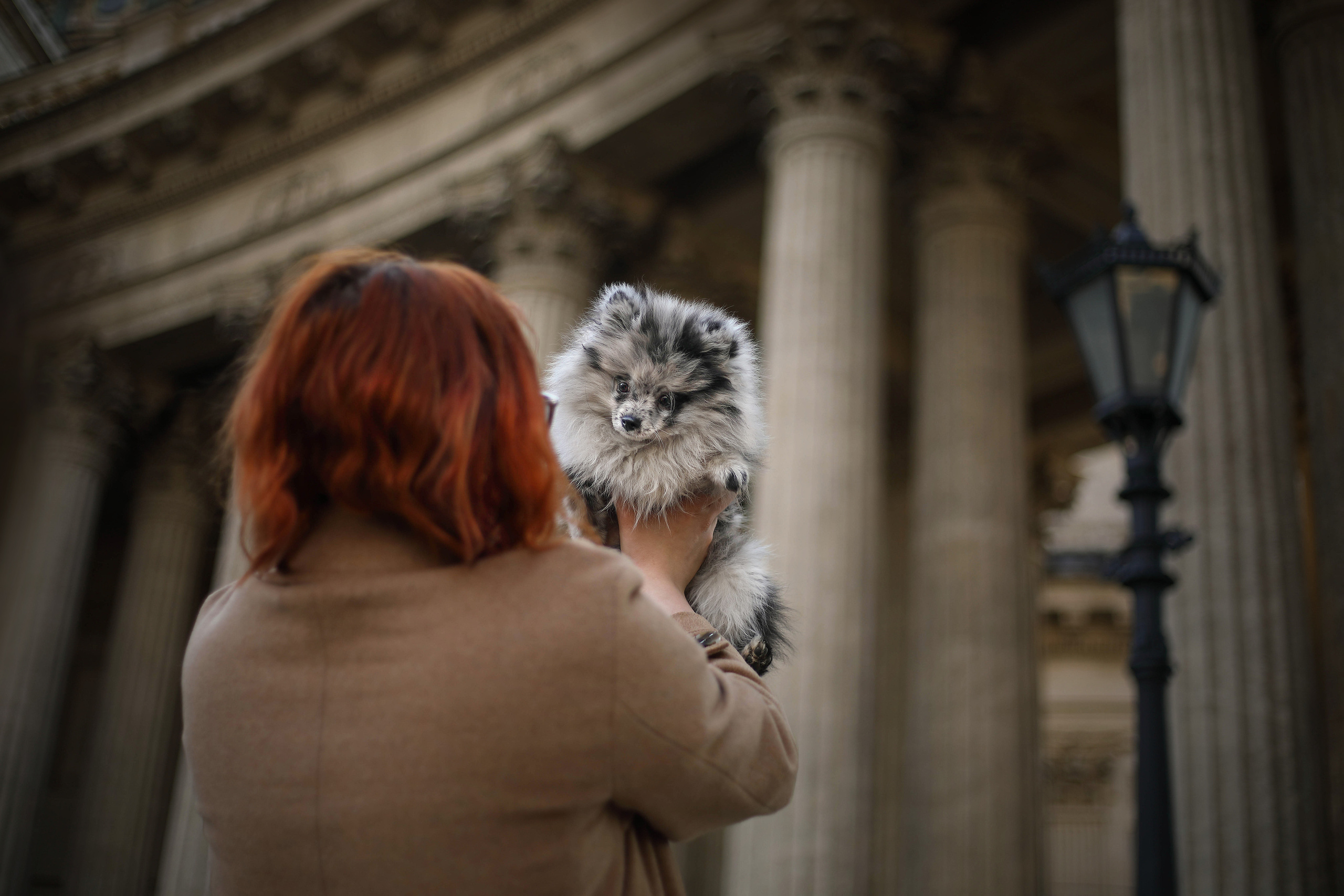 Собаки и их люди. Фотограф- анималист Санкт-Петербург