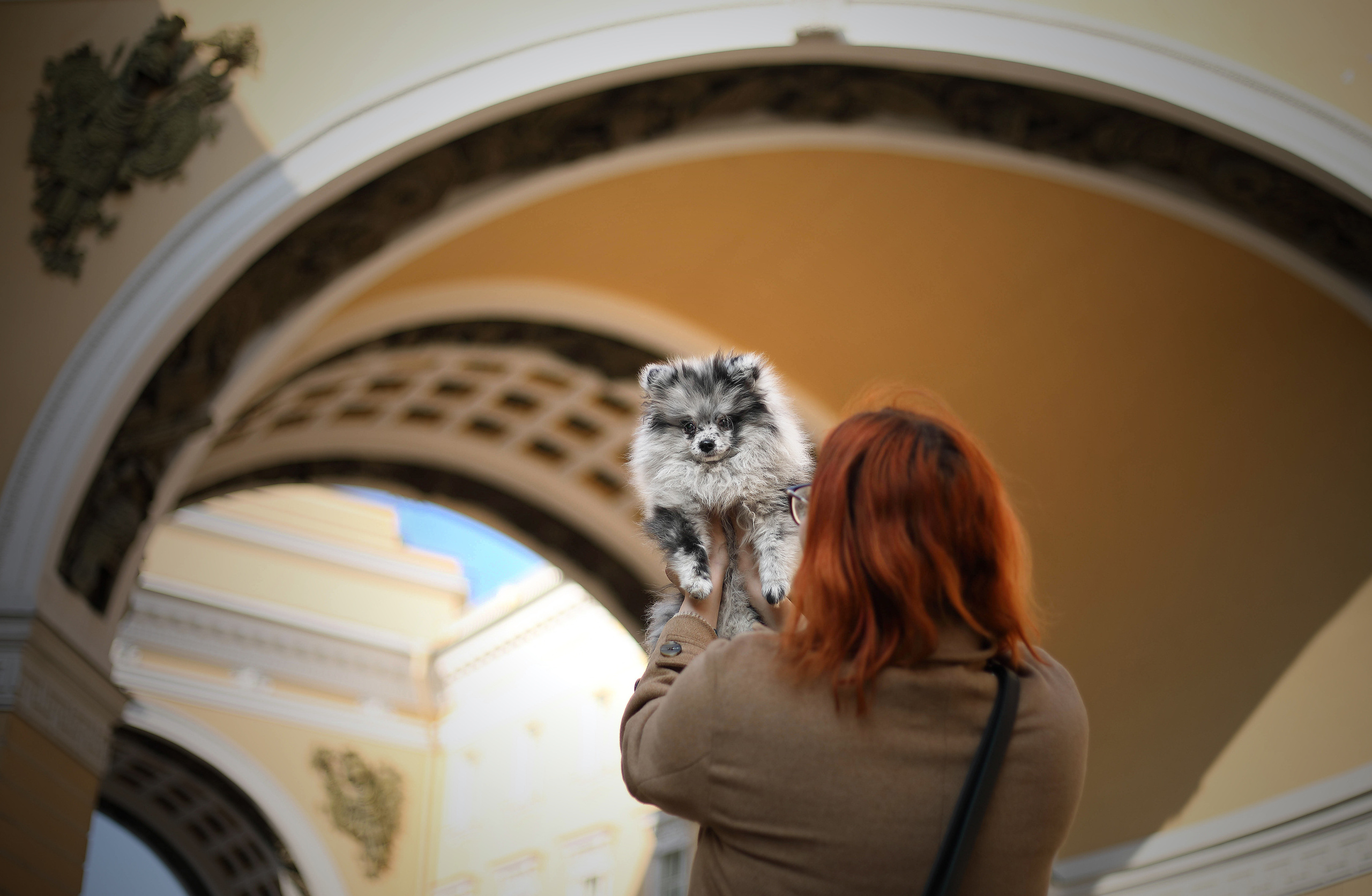 Собаки и их люди. Фотограф- анималист Санкт-Петербург