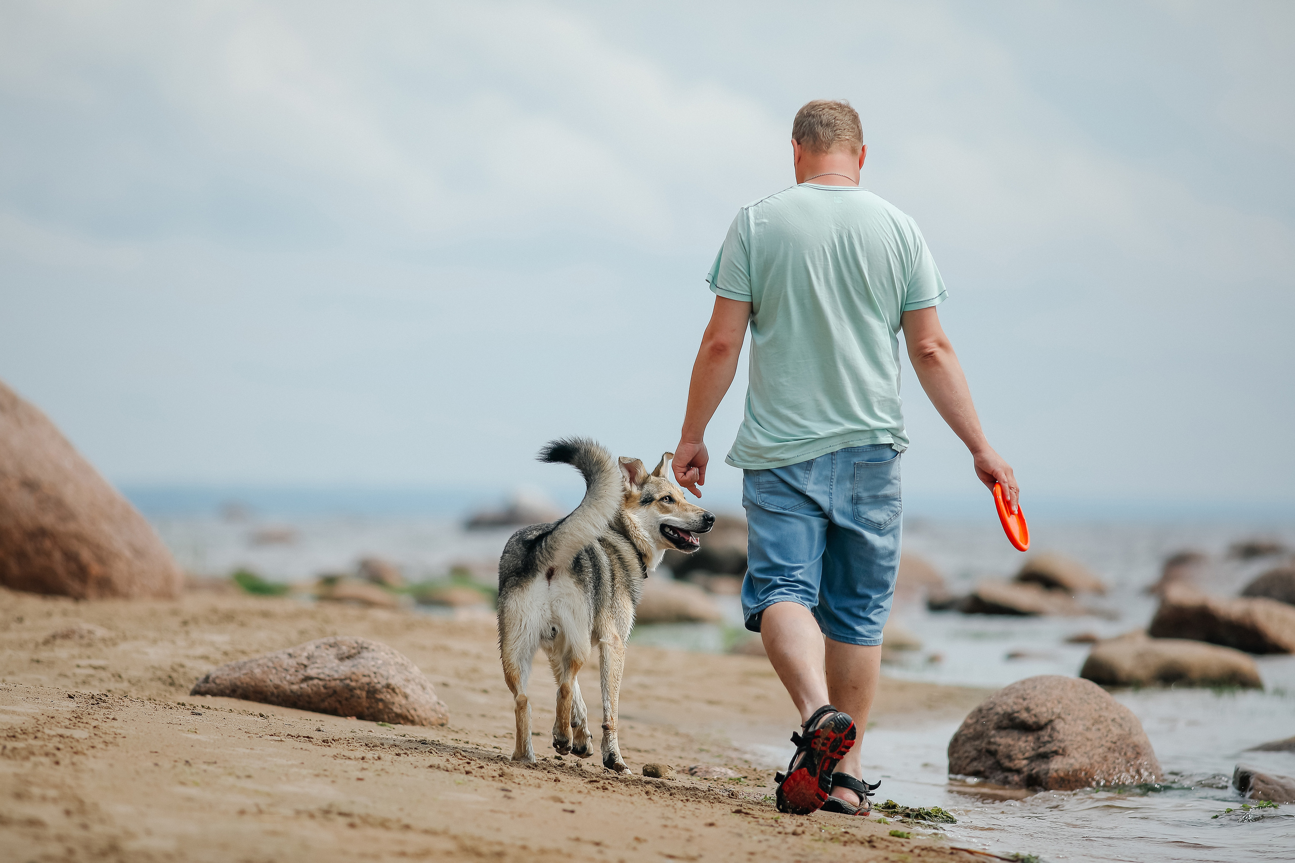Собаки и их люди. Фотограф- анималист Санкт-Петербург
