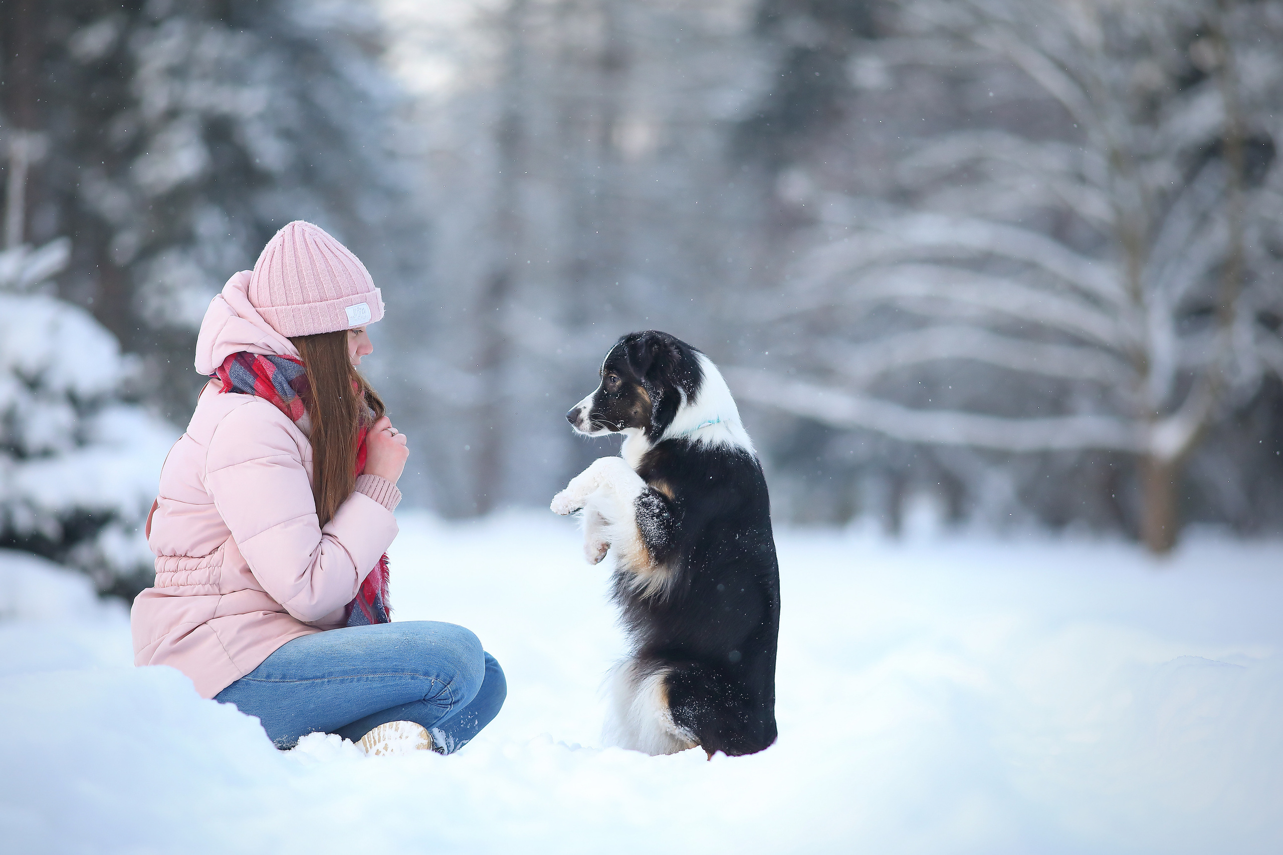 Собаки и их люди. Фотограф- анималист Санкт-Петербург